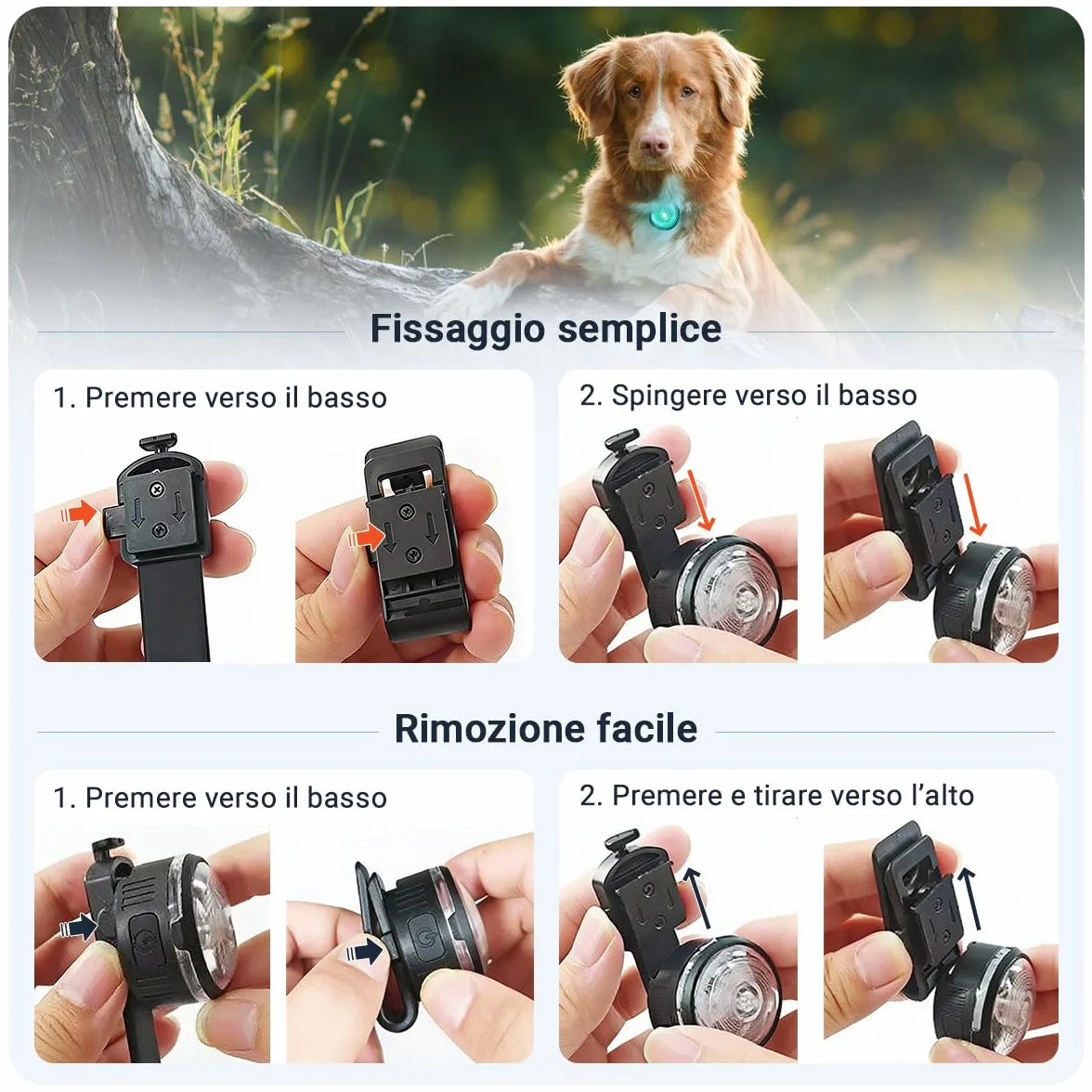PAJ LIGHT MINI - LED Ultraluminoso per Collari e Pettorine - Cani Piccoli, Medi e Gatti - Regolazione Flessibile - 100% Impermeabile - 7 Colori - Sicurezza e Visibilità Notturna