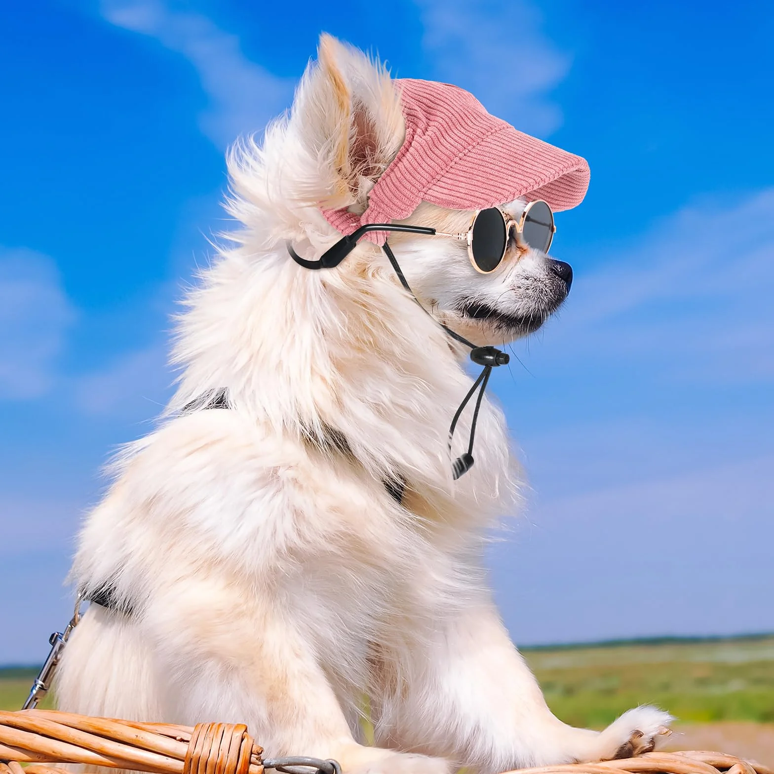 Cappello da Baseball per Cani con Fori per le Orecchie Occhiali da Sole Antiscivolo Regolabile Rosa Piccolo