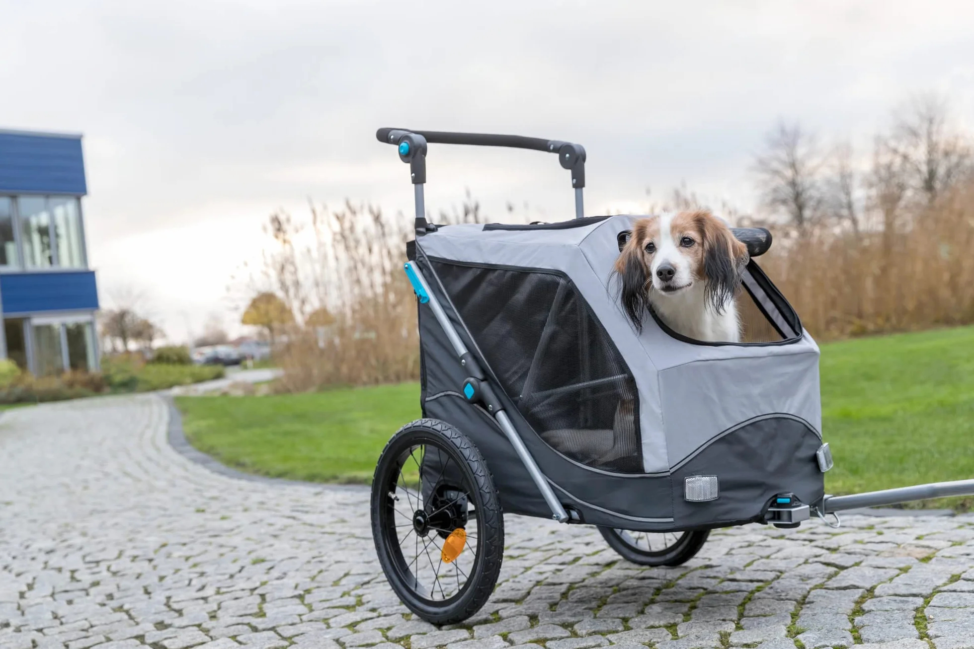 Trixie rimorchio Bici per Cani – Fino a 22 kg – 46 × 50 × 67 cm – rimorchio Pieghevole & Riflettente con guinzaglio di Sicurezza, Cuscino Integrato & Copertura Meteo