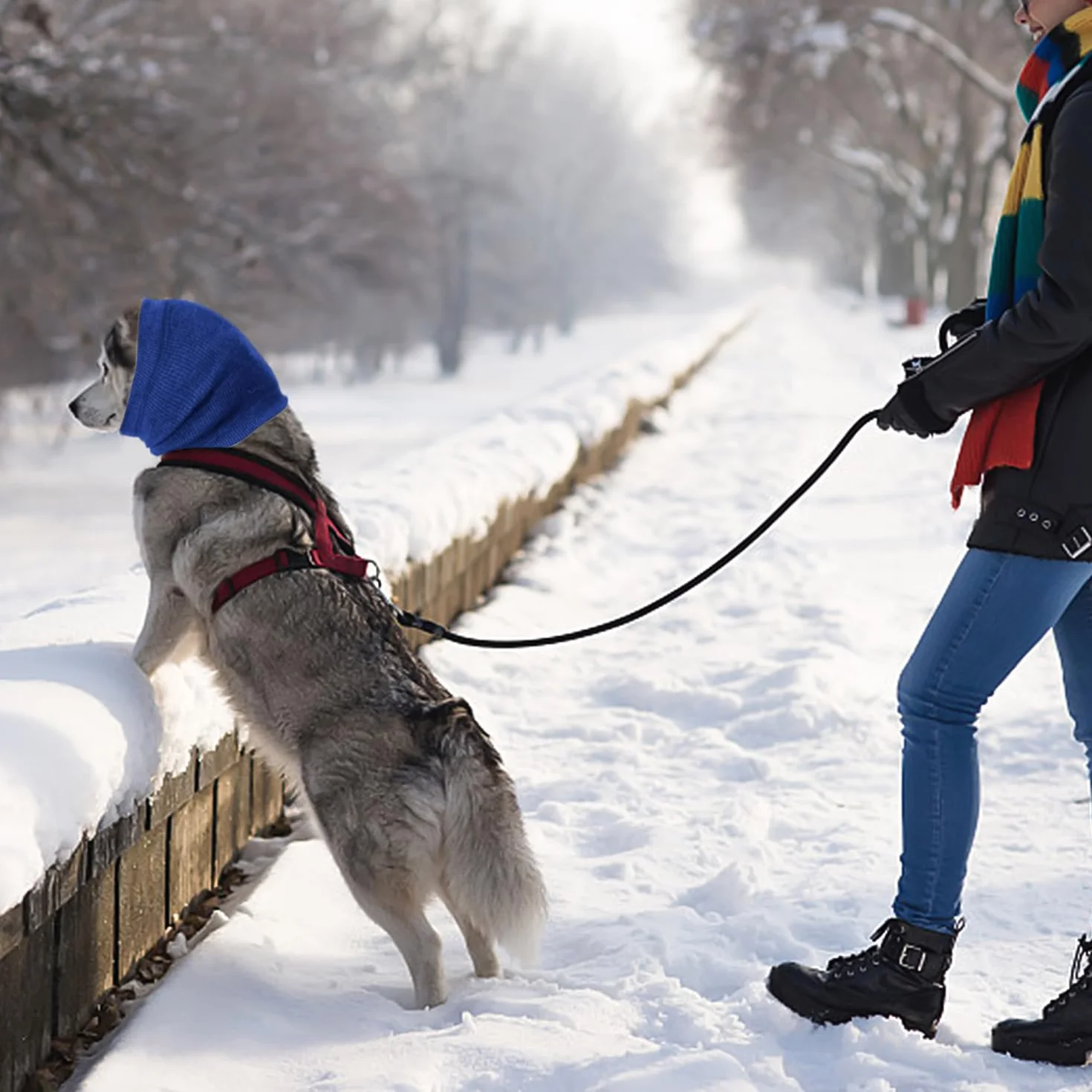 Copricapo per cani paraorecchie elastici protezione collo animali domestici
