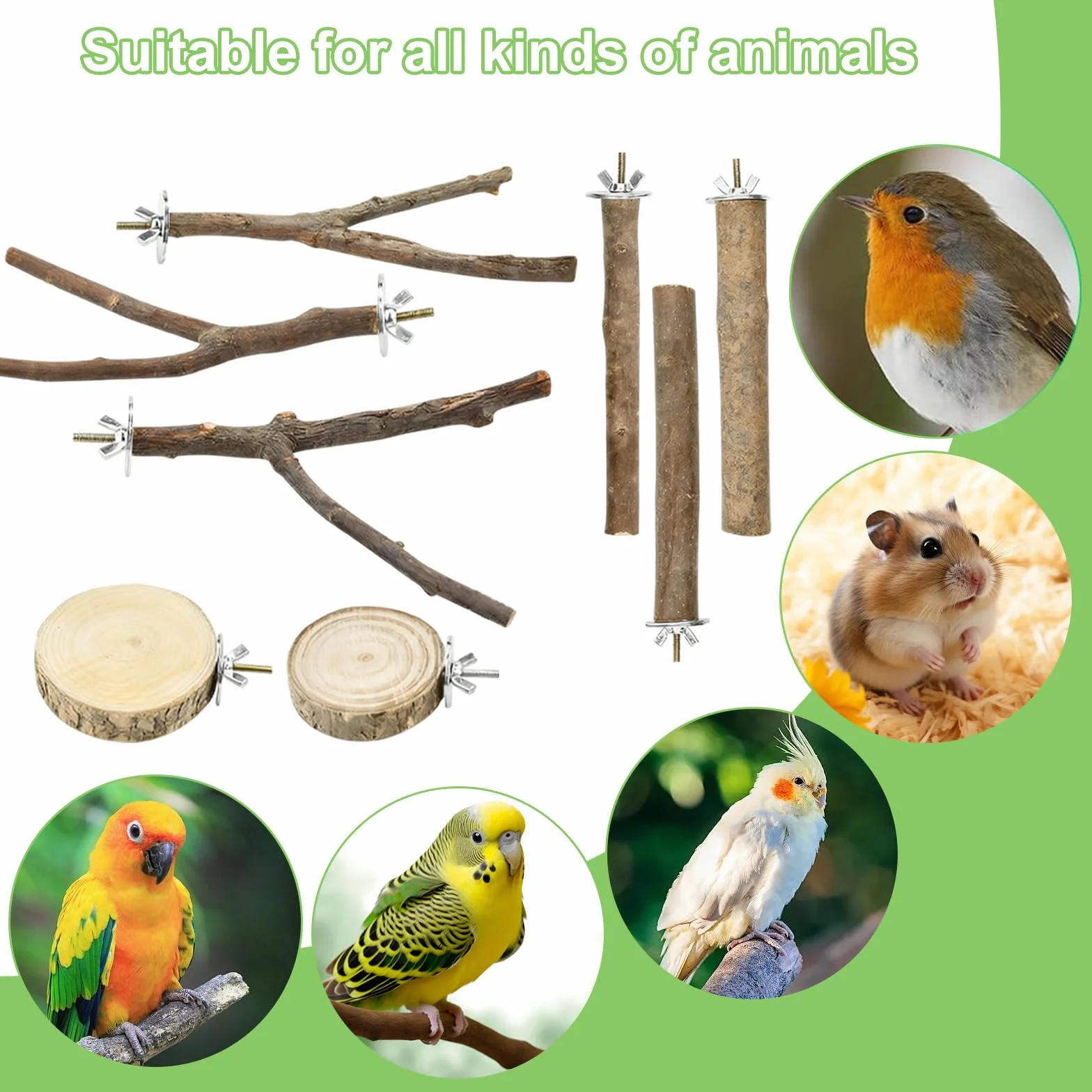 Posatoi per uccelli in legno naturale set di 8