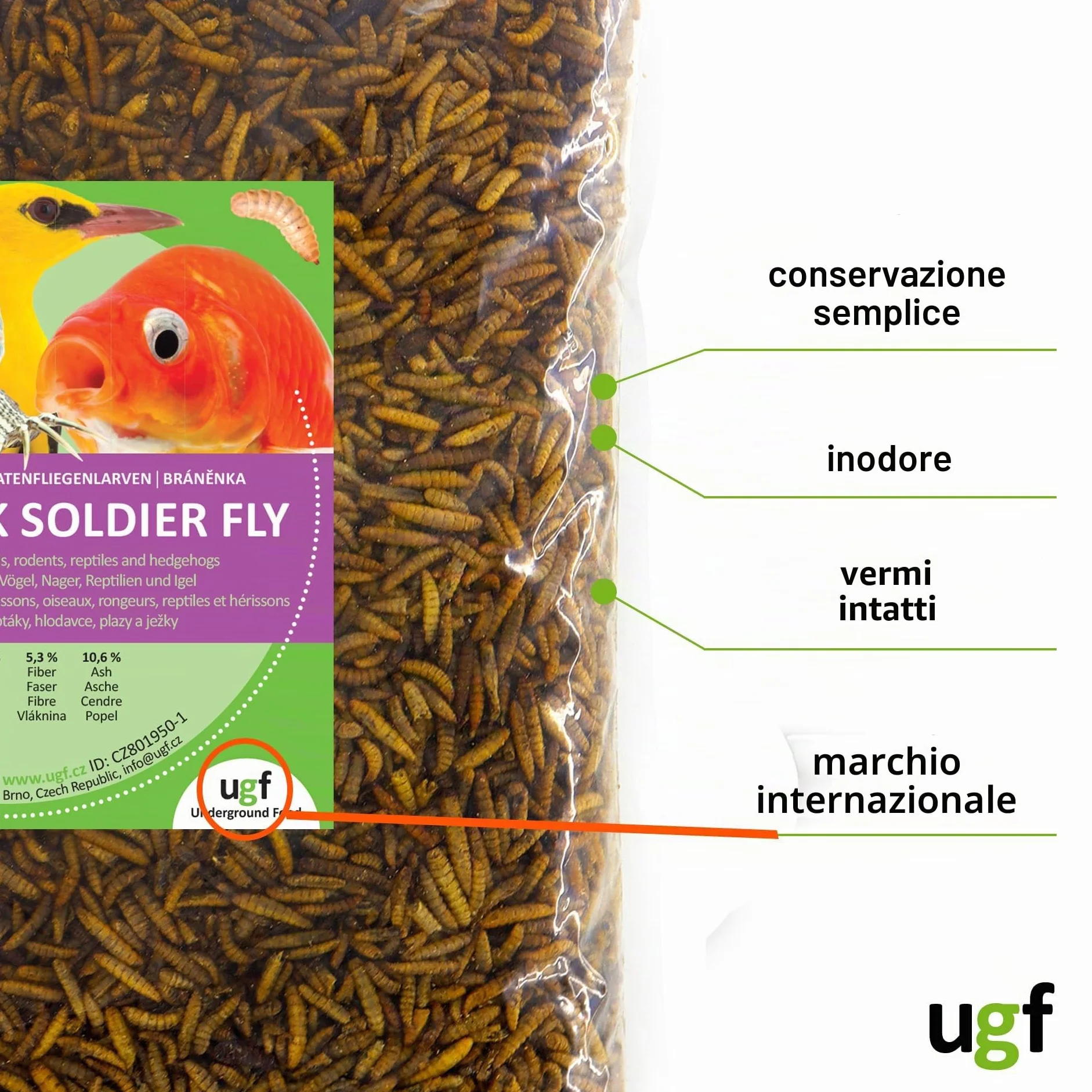 UGF Hermetia Meglio dei vermi secchi della farina 1 kg 85 volte più calcio bocconcini BSFL per uccelli selvatici tartarughe ratti ricci larve di soldati essiccati