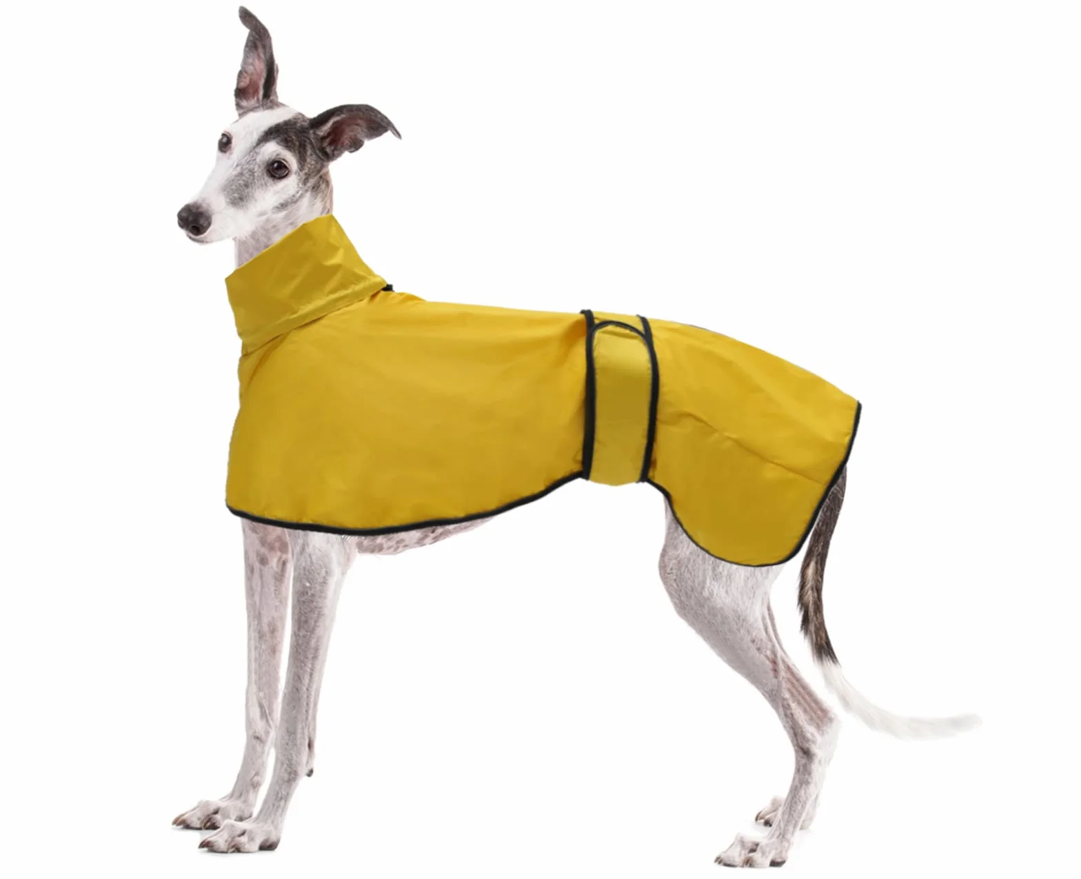 Geyecete Impermeabile Giacca per cane regolabile e leggera,con cinghie riflettenti e foro pettorina,ottimo regalo per levrieri, lurcher e frustini per cani-Giallo-L