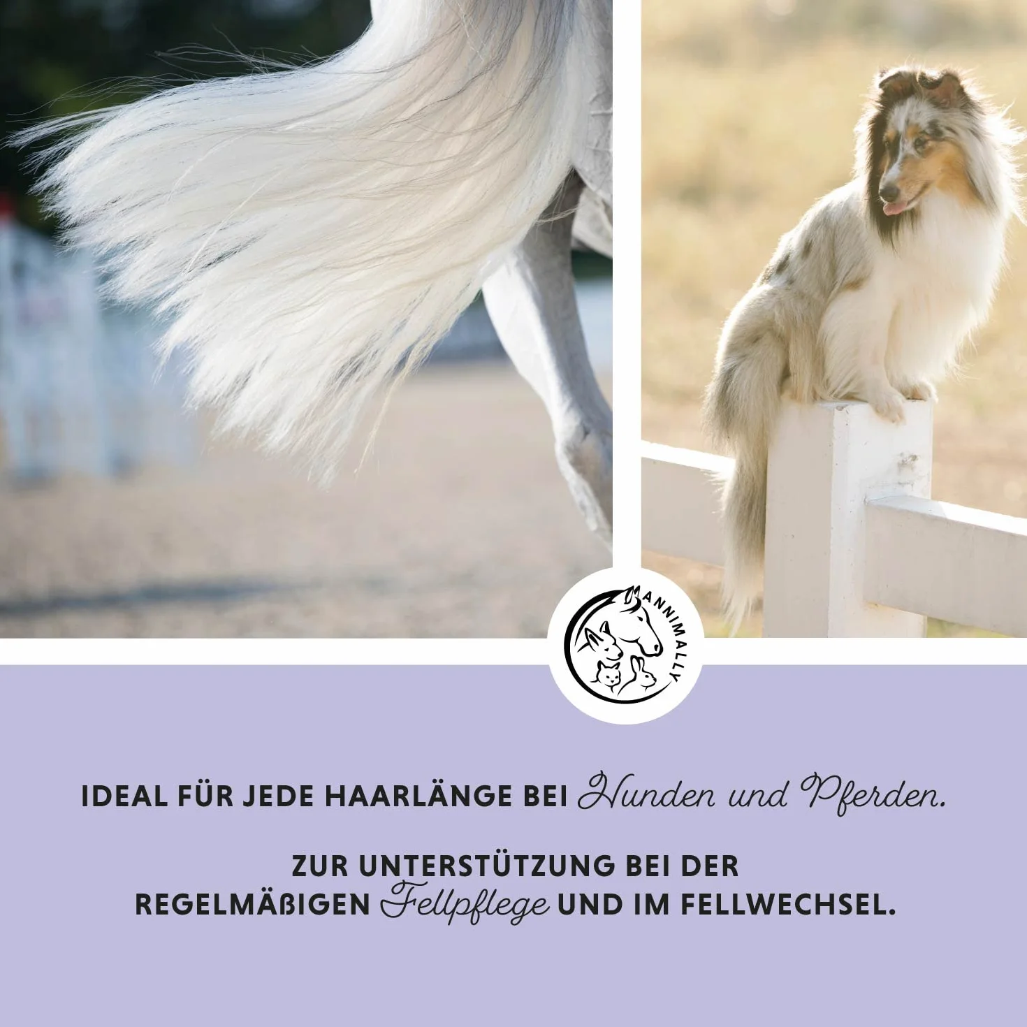 Annimally Spray per Criniera per Cavalli 500 ml - Spray per Coda e Spray Districante per Cavalli e Cani per un Pettinaggio più Facile e una Lucentezza Setosa del Pelo