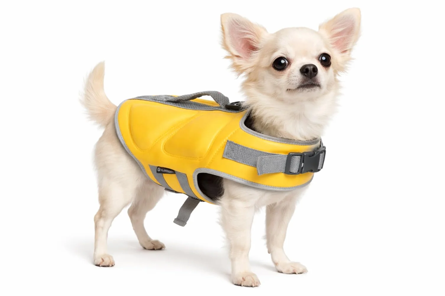 Flamingo Swimmy giubbotto salvagente cane giallo XS poliestere schiuma EPE regolabile bande riflettenti