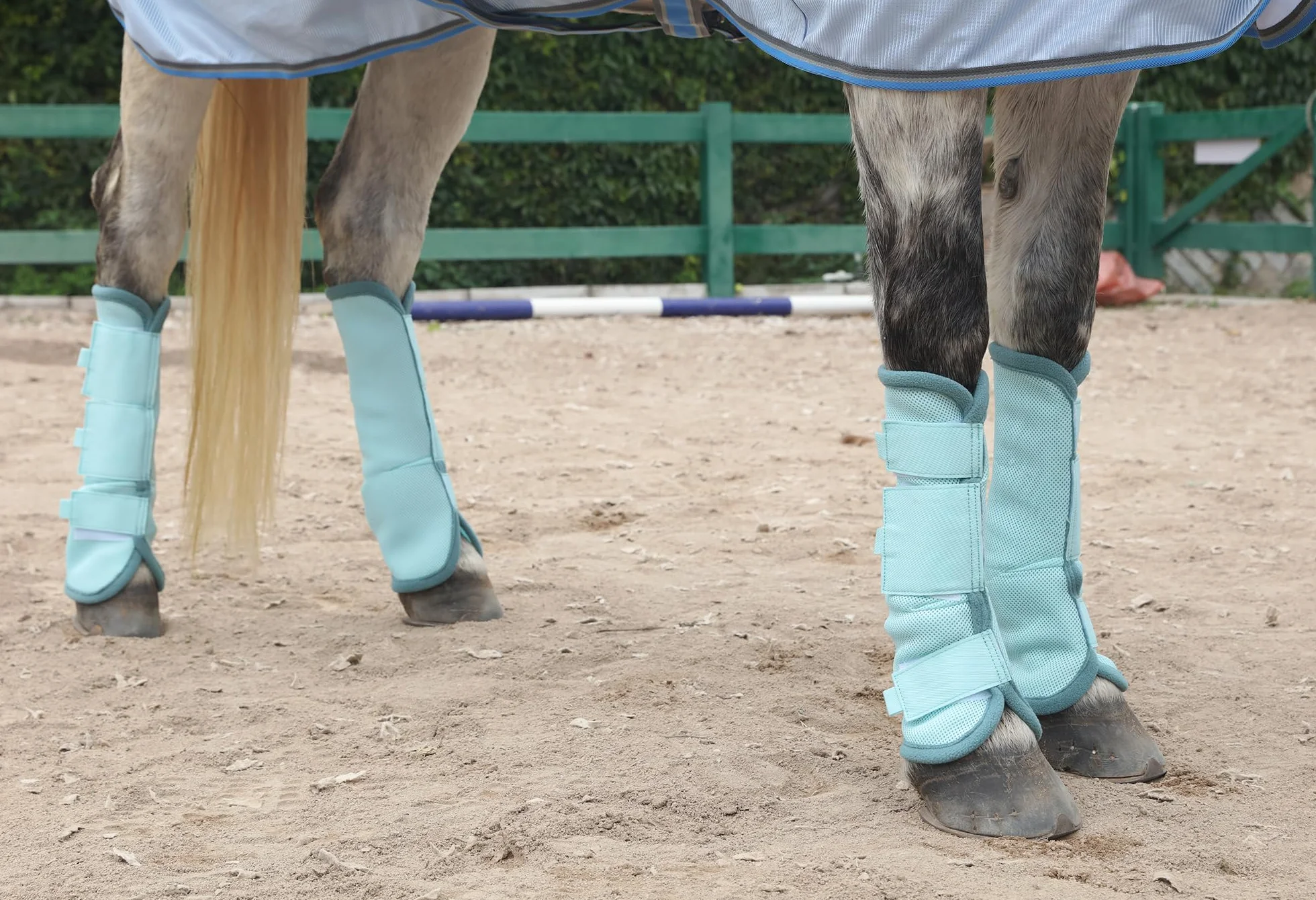 LEAFOREST Stivaletti da mosca per cavalli, perfetti per avvolgere le gambe equine e massima protezione contro le mosche del cavallo, set di 4 (blu, pony)