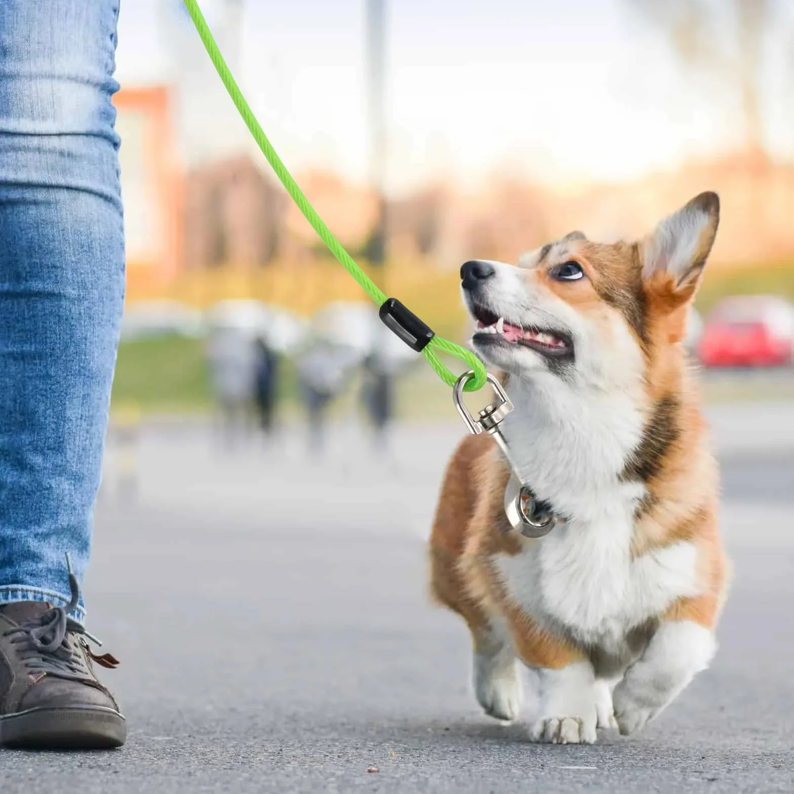 Guinzaglio per Cane A 3 M con Picchetto Elicoidale A Terra A 12.8 inches - per Esterno Come Cortile E Campeggio - Adatto per Cani Piccoli E Medi