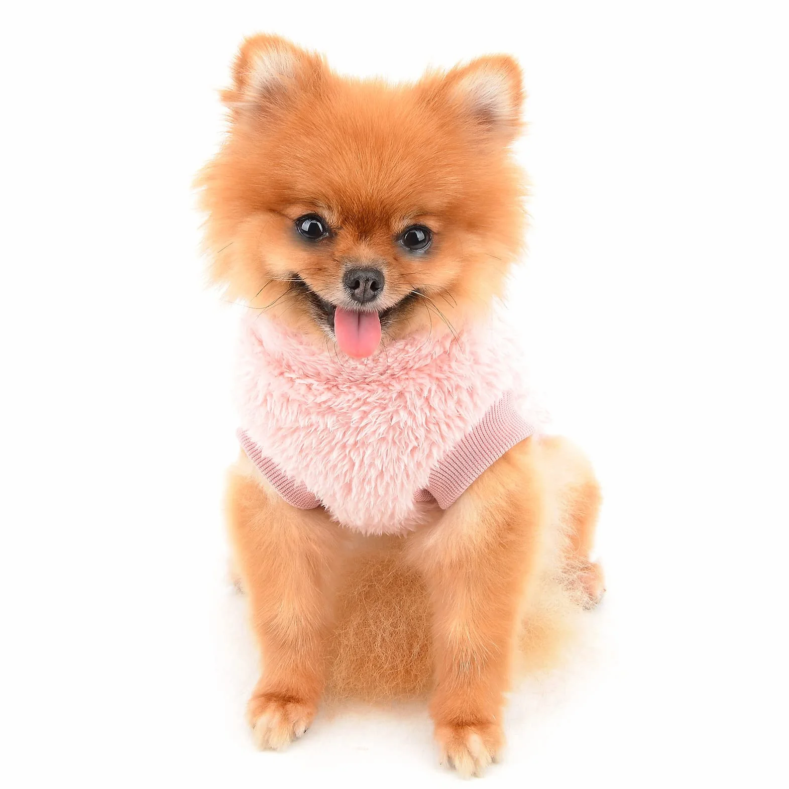 Pet Sherpa Maglione in pile con dolcevita e anello a D per cani piccola taglia gatto cucciolo Yorkie Chihuahua vestiti caldi autunnali invernali rosa S