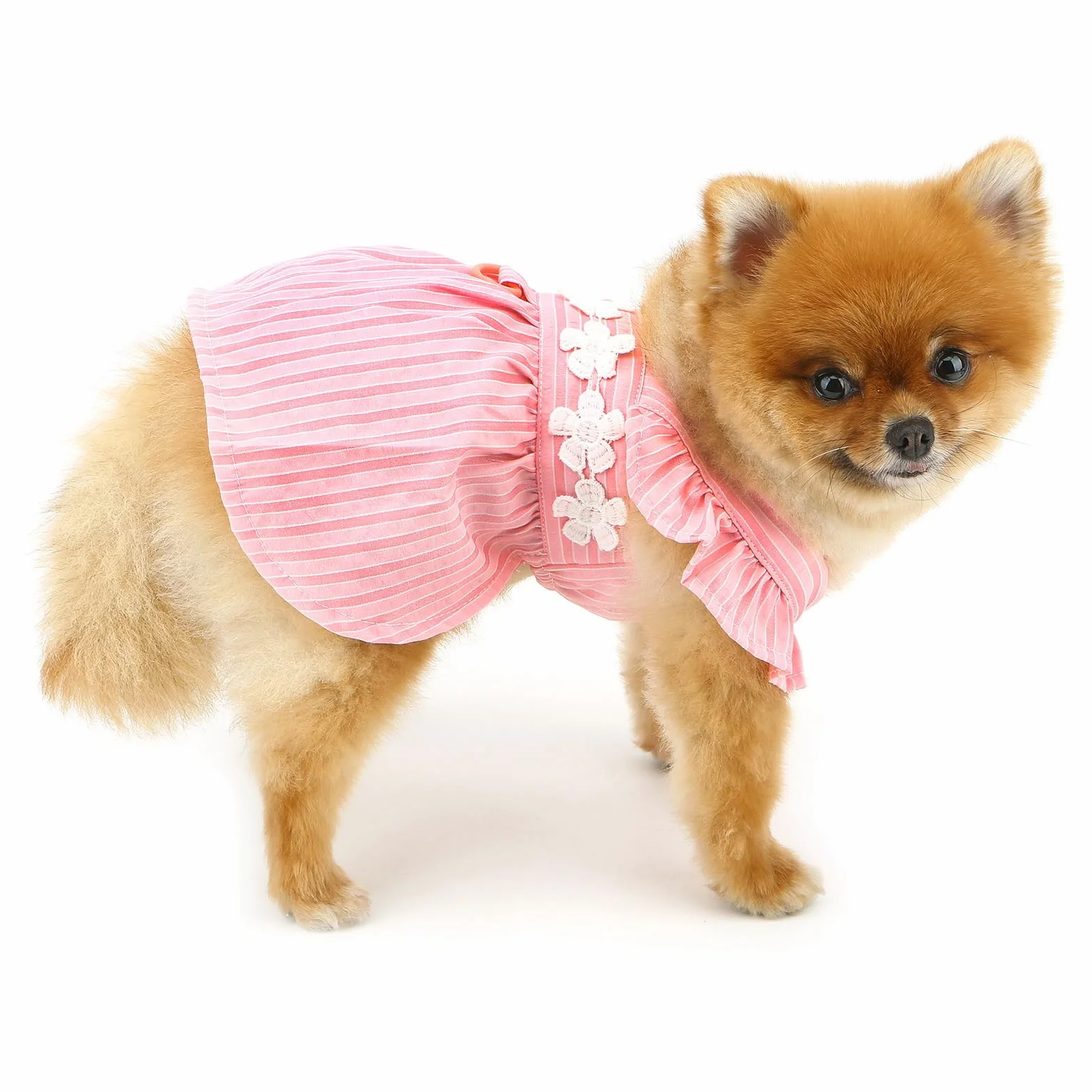 PAIDEFUL Vestito Elegante per Cane Piccolo - Design Estivo a Righe con Ricamo di Fiori, Cinturino, Bottoni - Abbigliamento Fresco da Principessa per Animali Domestici, Costume da Chihuahua