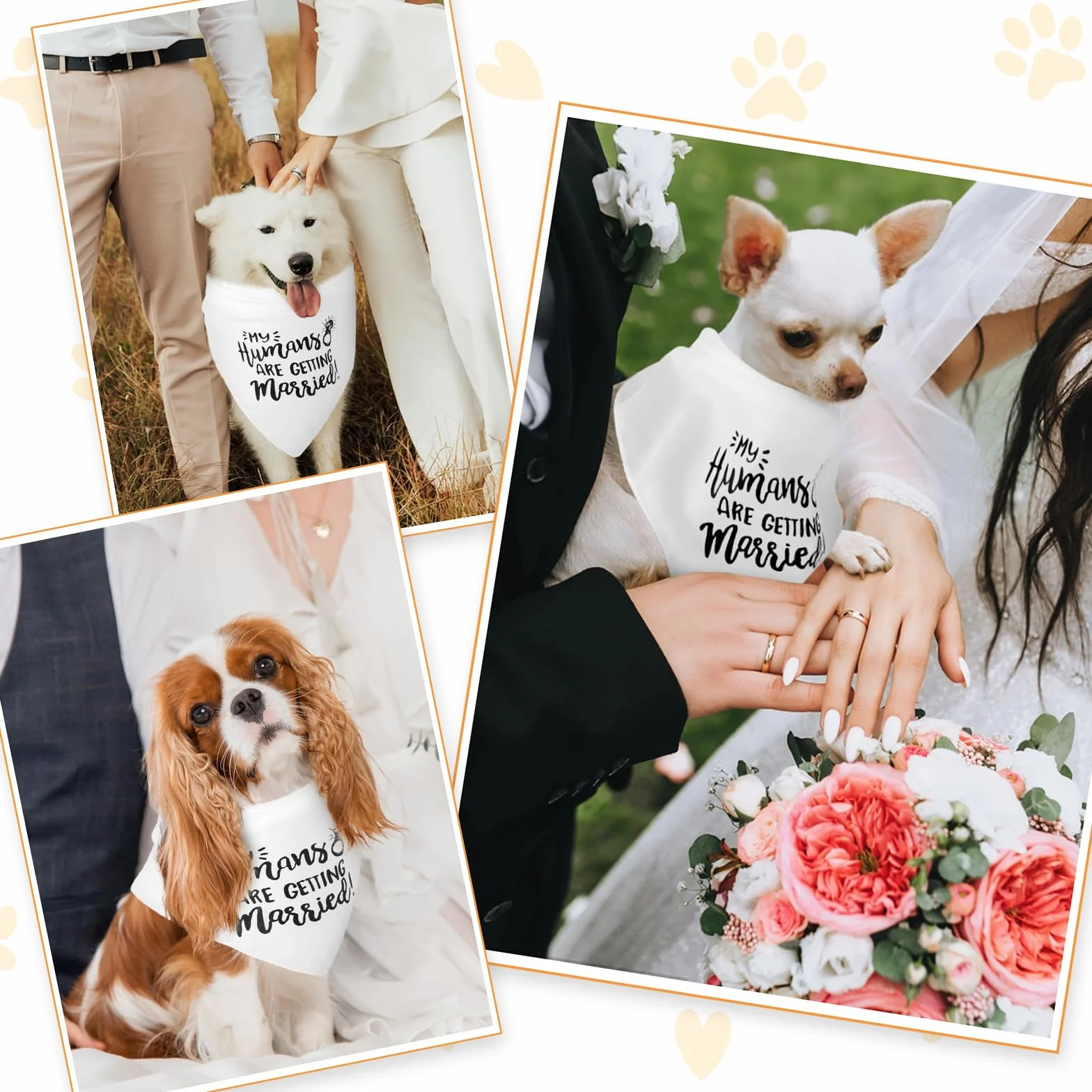 Regalo di fidanzamento Bandana per cani My Humans are Getting Married Sciarpa per animali domestici Annuncio Accessori