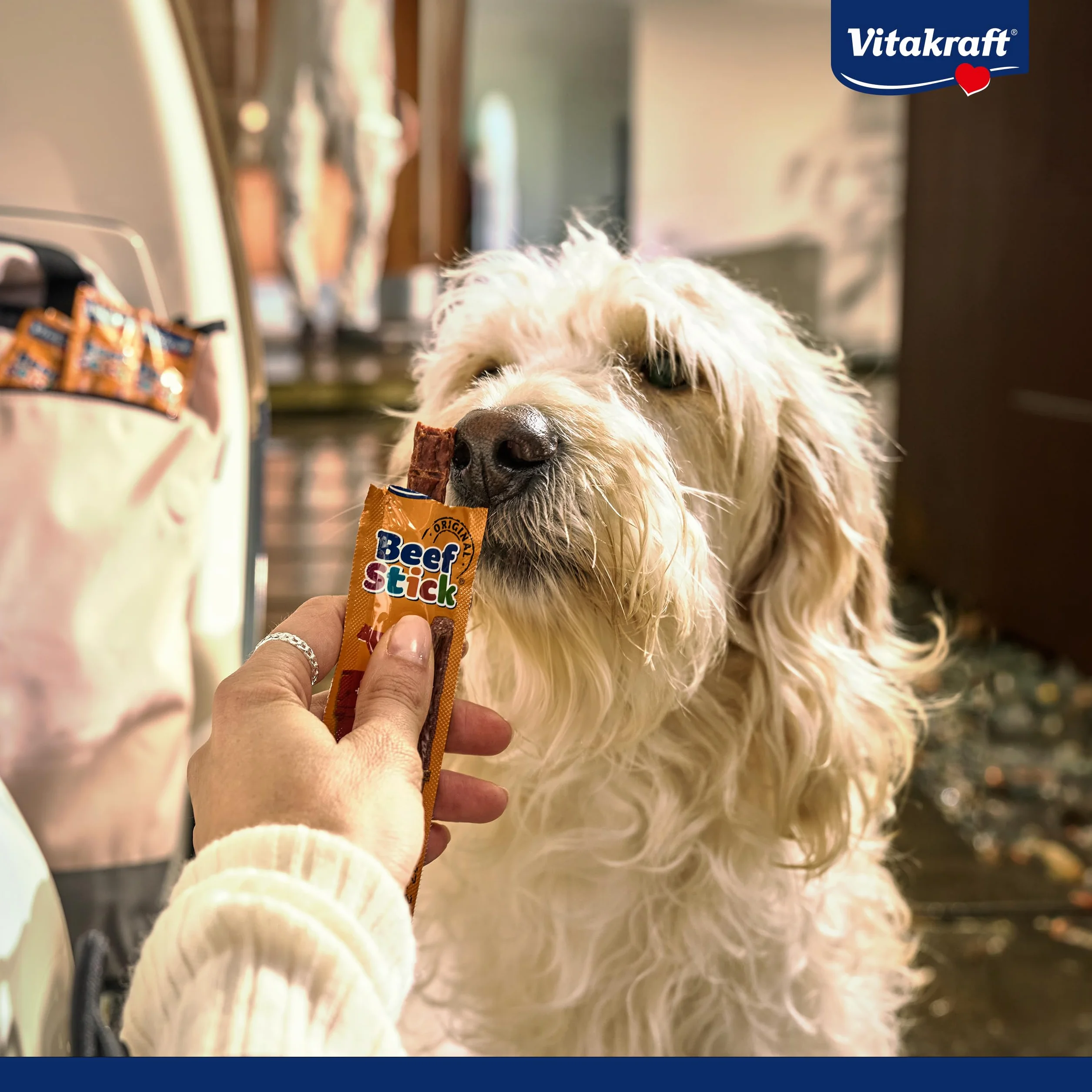 VITAKRAFT Beef Stick con Tacchino Snack alla Carne per Cani 12 g