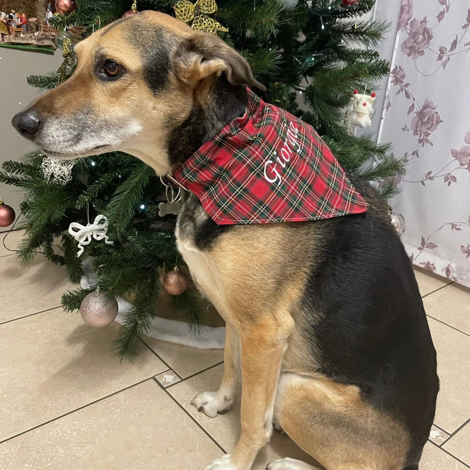 Personalizzata Bandana per cani Amici a quattro zampe Accessori