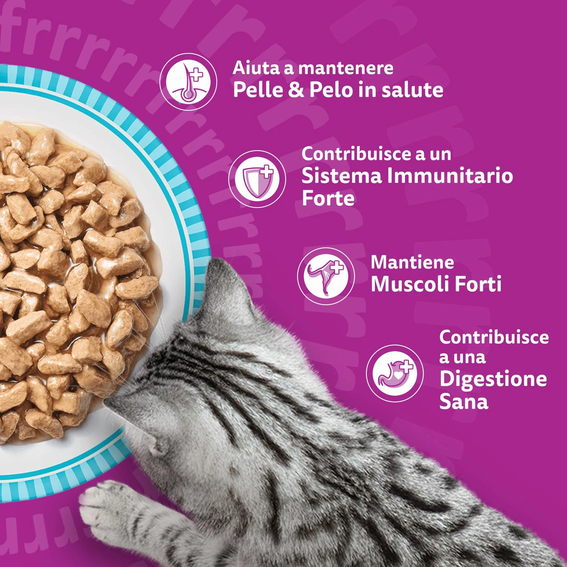 Whiskas Pranzetti Selezione di Pesce 1+ Adulto, Cibo Umido per Gatto, 12 Confezioni ognuna da 6 bustine x 50g (72 Pezzi in Totale)