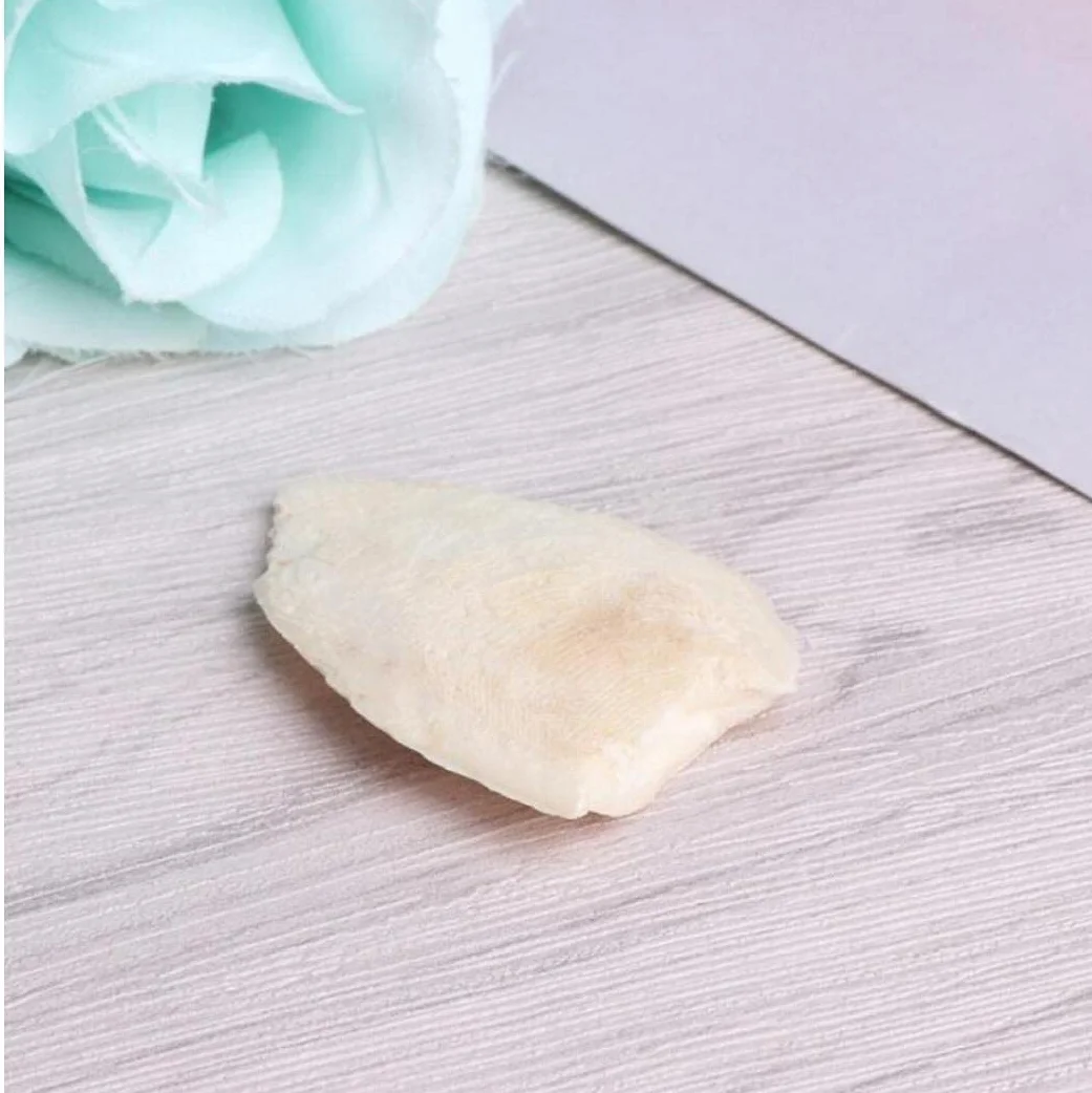 Cuttlebone Toy for Parrot Bird Desalting Cuttlefish Sepia Bone Chew Molar