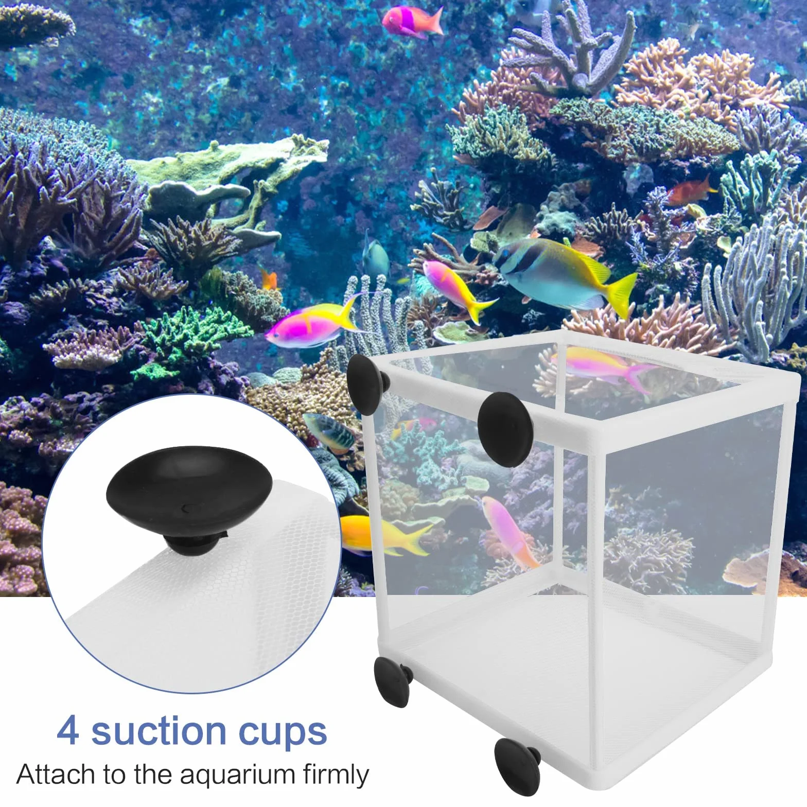 2 scatole per l'allevamento di pesci per acquario, scatola di isolamento per acquario, frittura, vivaio, con 8 ventose per proteggere i pesci del bambino per acquario, bianco, 16 x 14 x 16 cm