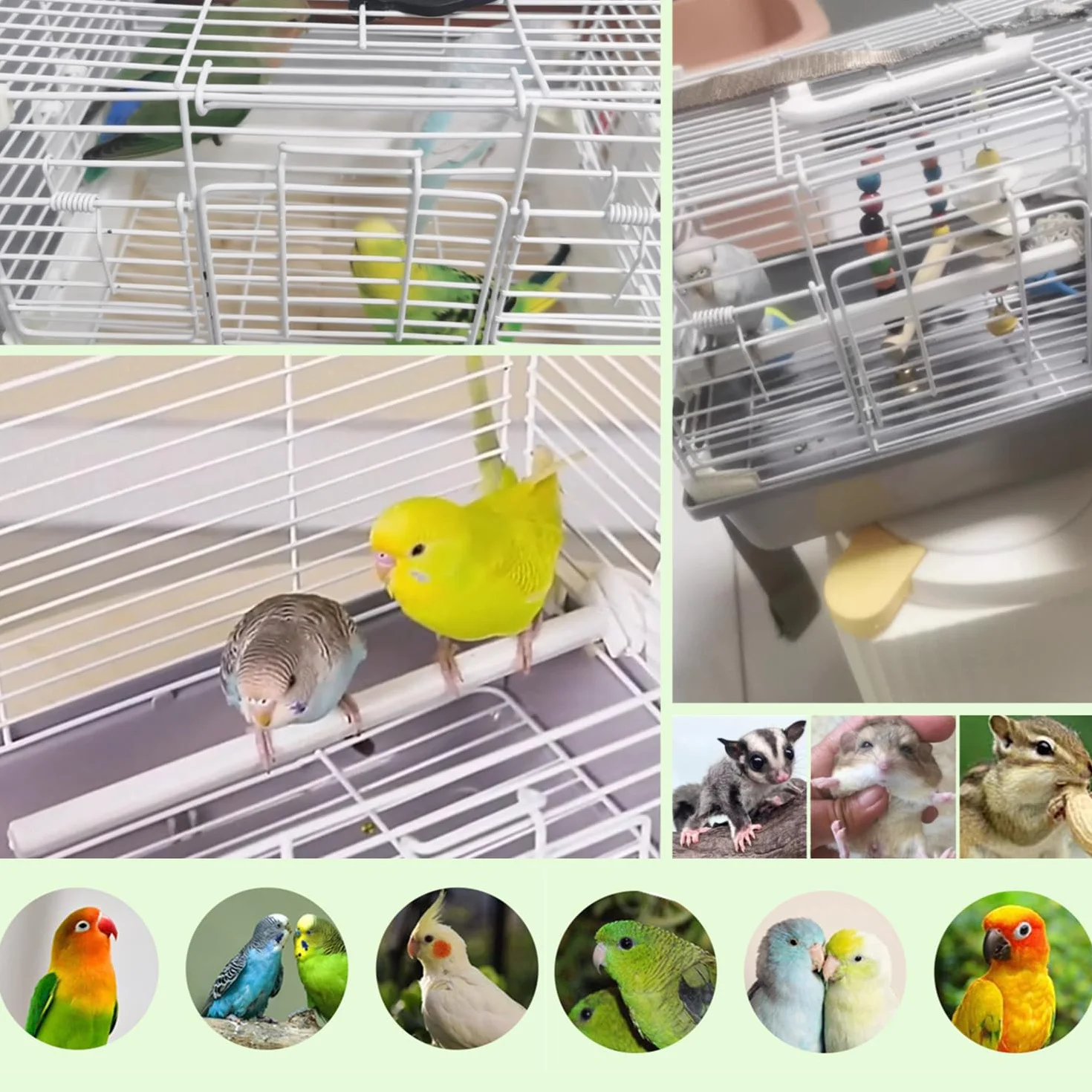 Gabbia per Uccelli Trasportino da Viaggio per Uccelli Gabbia per Canarini con Mangiatoie Posatoi Contenitore da Trasporto per Pappagalli Parrocchetti Piccoli Animali per Viaggi (Grigio)