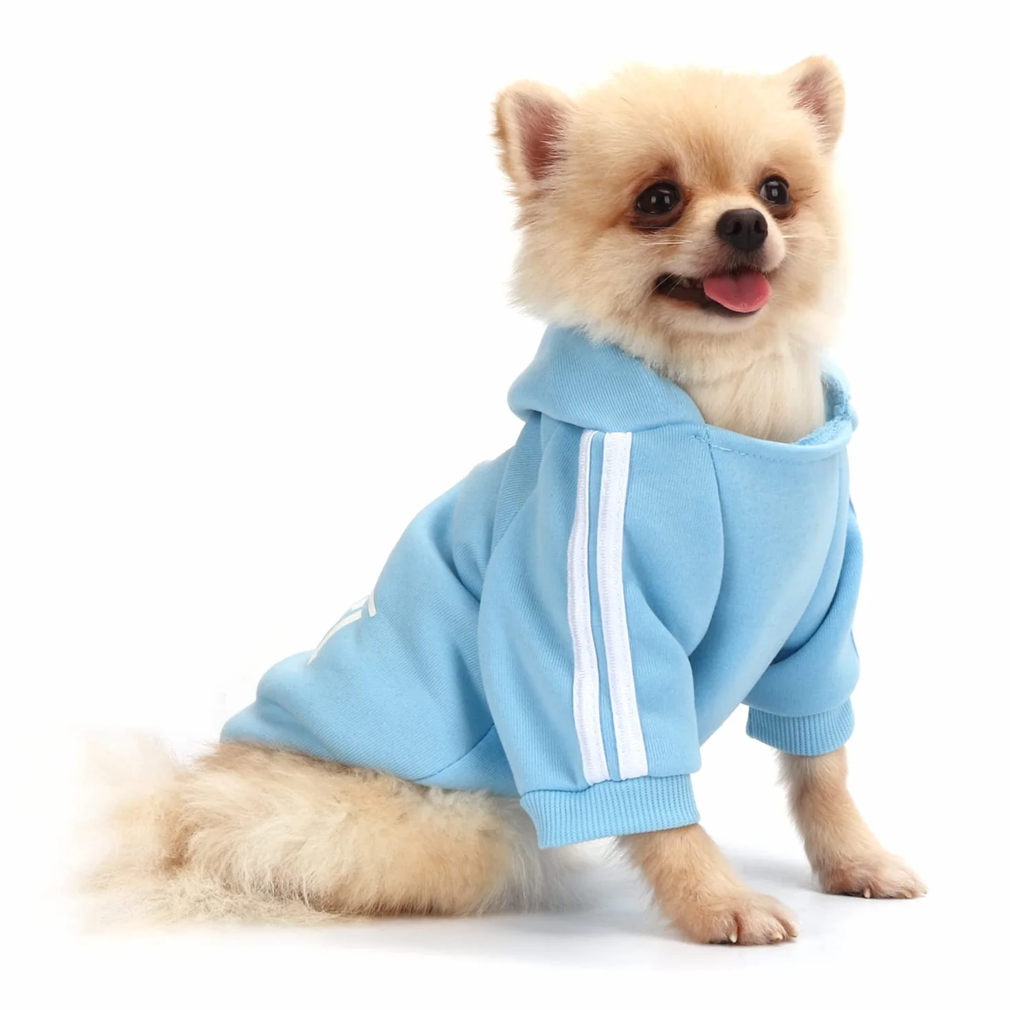 QiCheng&LYS Felpe Cani, Felpa cani Piccola Taglia, Maglioncino per Cani, Cappotto Caldo Dell'animale Domestico (Blu, XS)