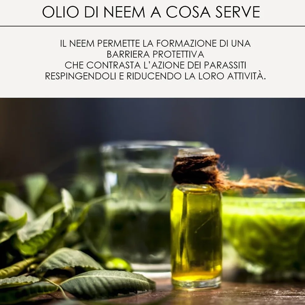 Olio di Neem Lozione Spray Repellente Zanzare Antiparassitario per Cavalli 100% Naturale 500ml Made in Italy
