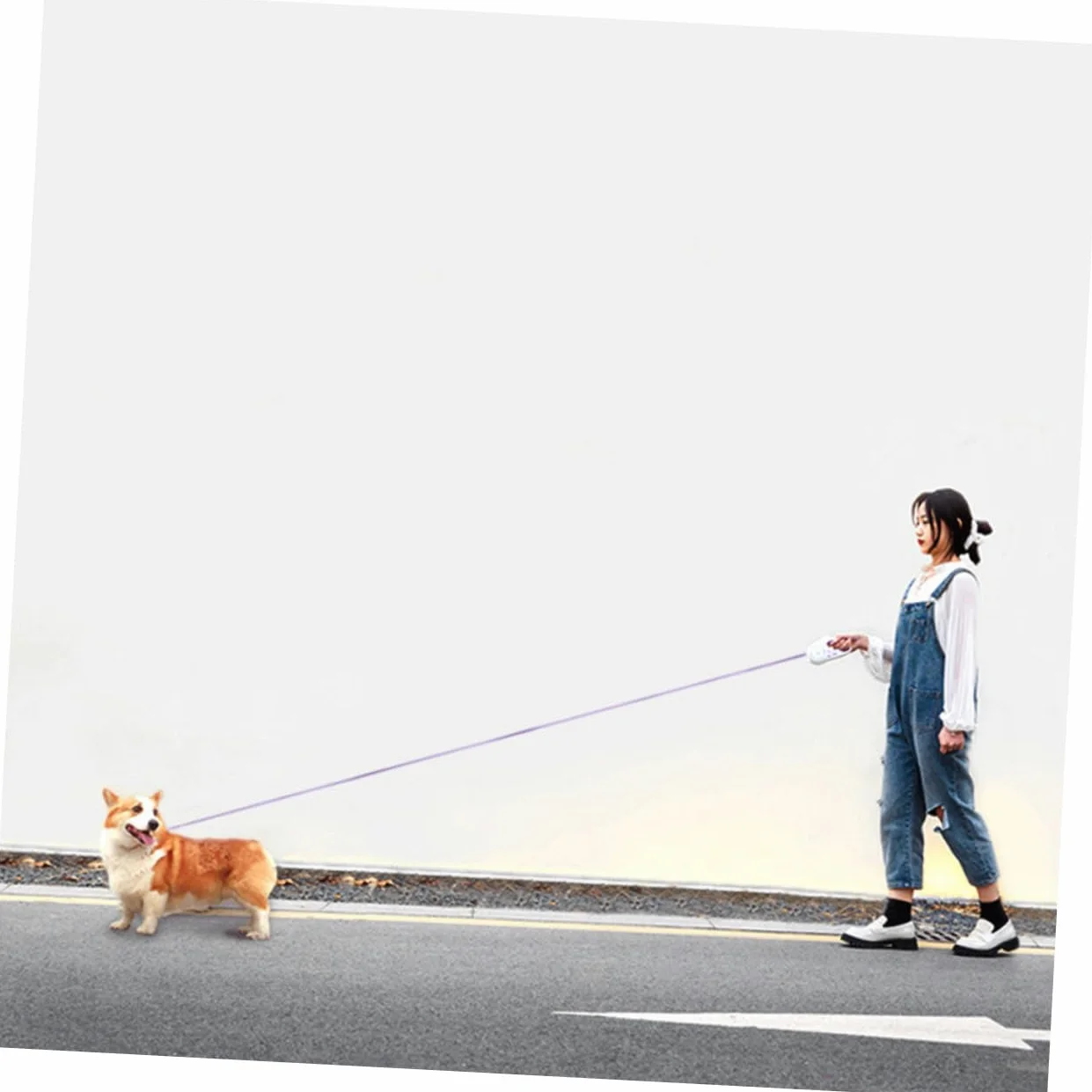 Guinzaglio Retrattile e Telescopica Portatile Per Addestramento e Jogging Resistente e Maneggevole