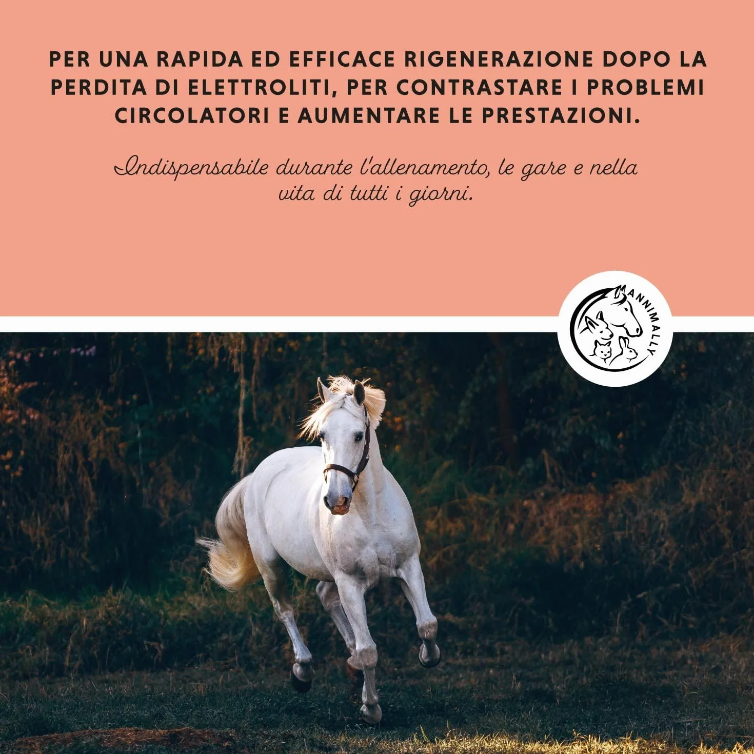Elettroliti Liquidi per Cavalli 1000ml con Sodio, Potassio, Calcio, Magnesio e Vitamina B - Integratore Senza Zuccheri