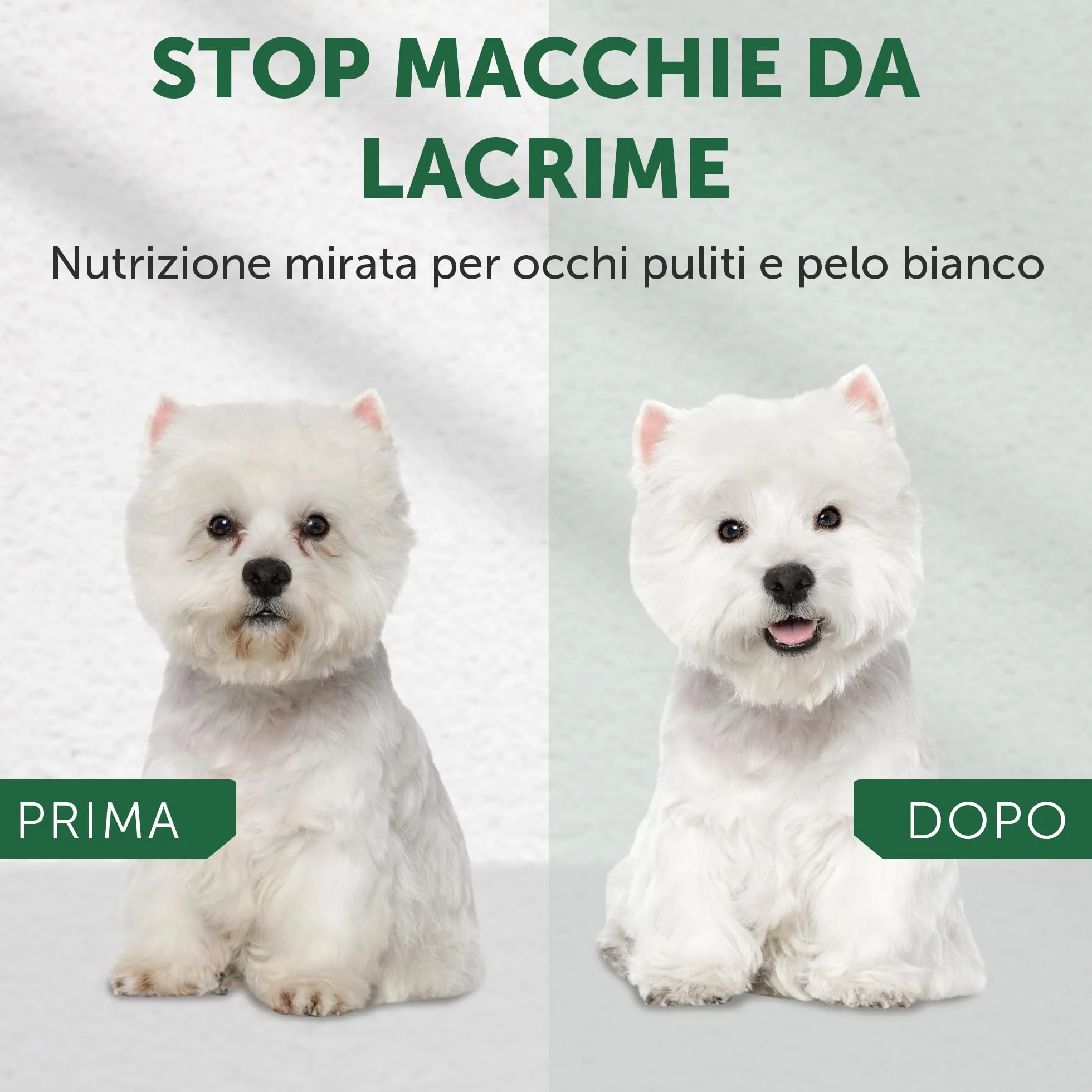Nature's Protection Superior Care Cibo Secco Ipoallergenico Senza Cereali per Cani Adulti Razze Piccole e Mini 1,5 kg