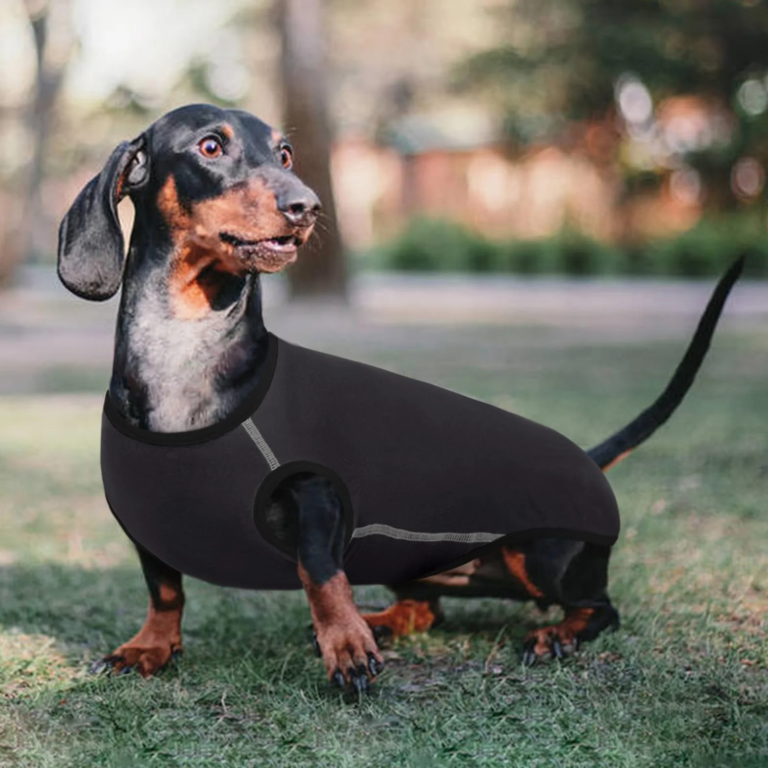 Maglione Per Cane Bassotto Confortevole Grigio XS