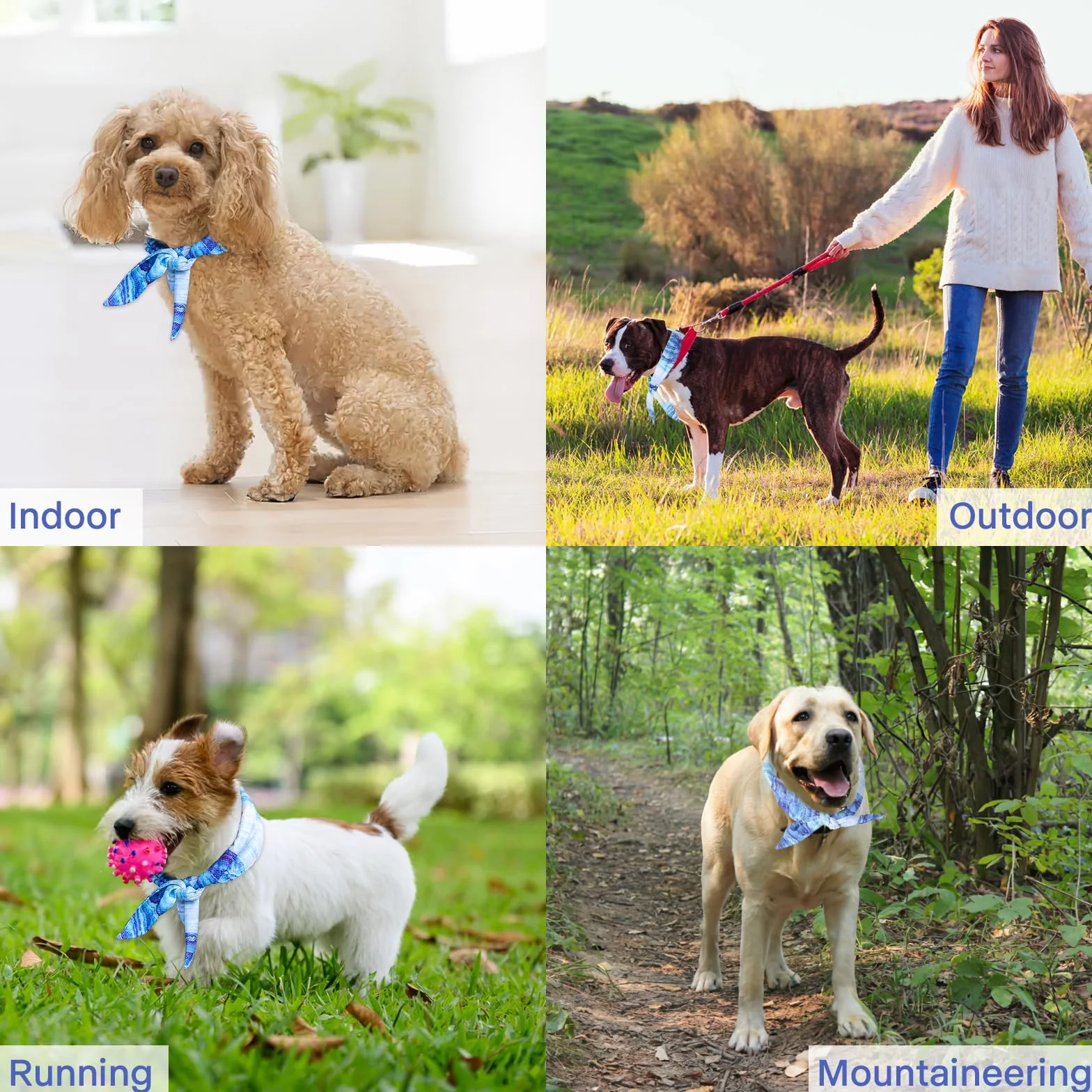 Collare di Raffreddamento per Cani, Bandana Rinfrescante, Traspirante, Taglia M