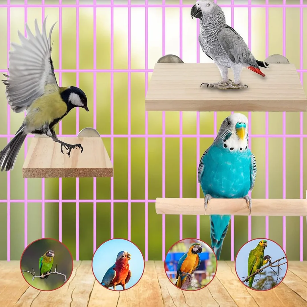 Posatoio per Pappagalli in Legno, 6 Pezzi, Giochi per Uccelli Accessorio per Gabbia per Cacatua e Parrocchetto