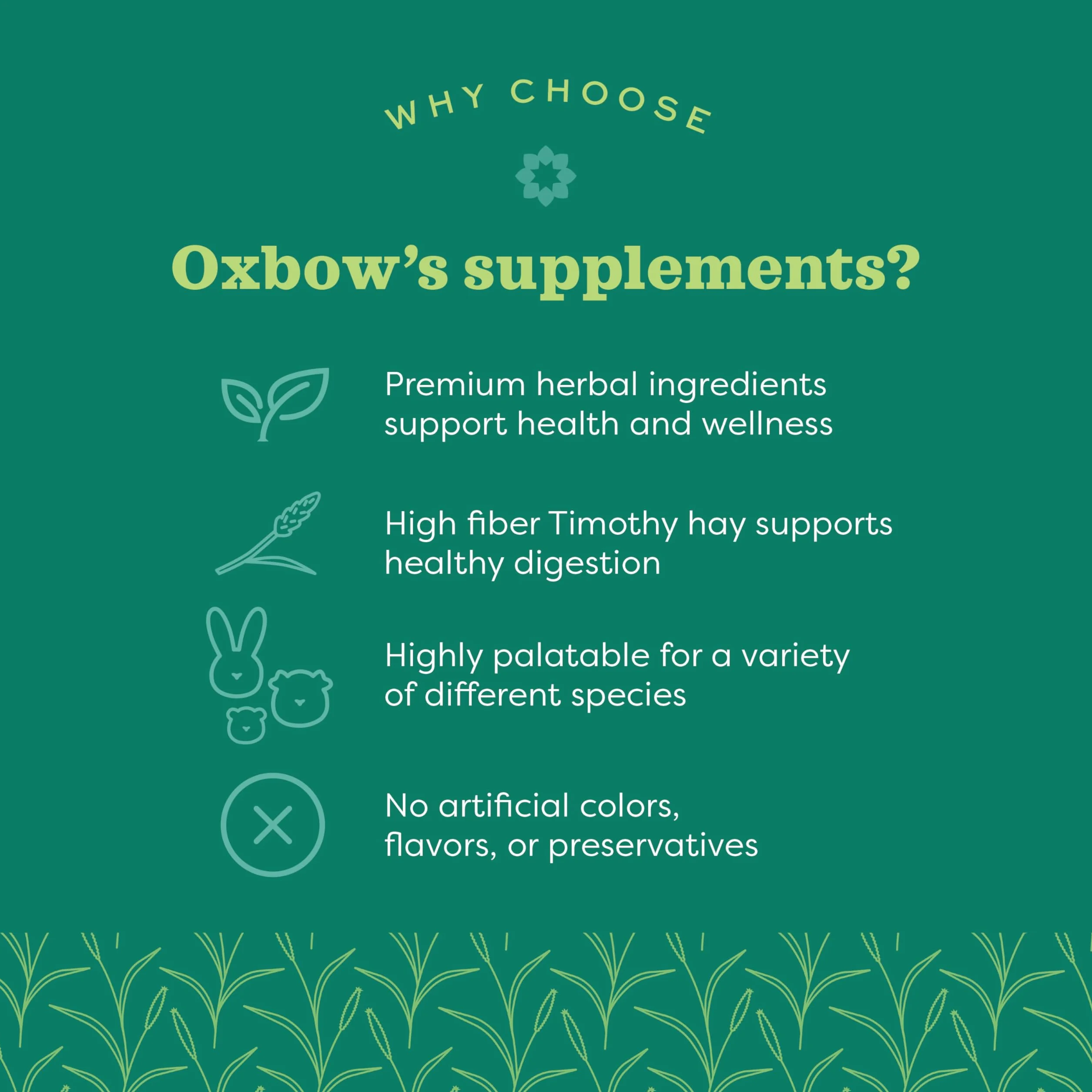Oxbow Digestive Support 120 g - Integratore alimentare per l'apparato digerente di roditori e iguana