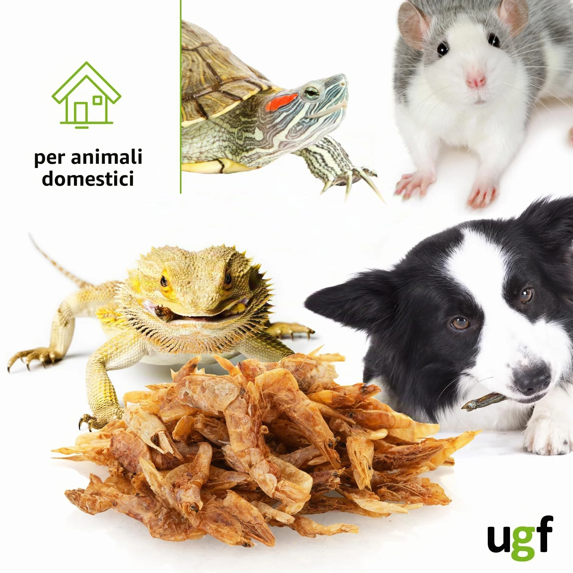 Gamberetti essiccati 75 g cibo per uccelli selvatici snack per cani tartarughe roditori