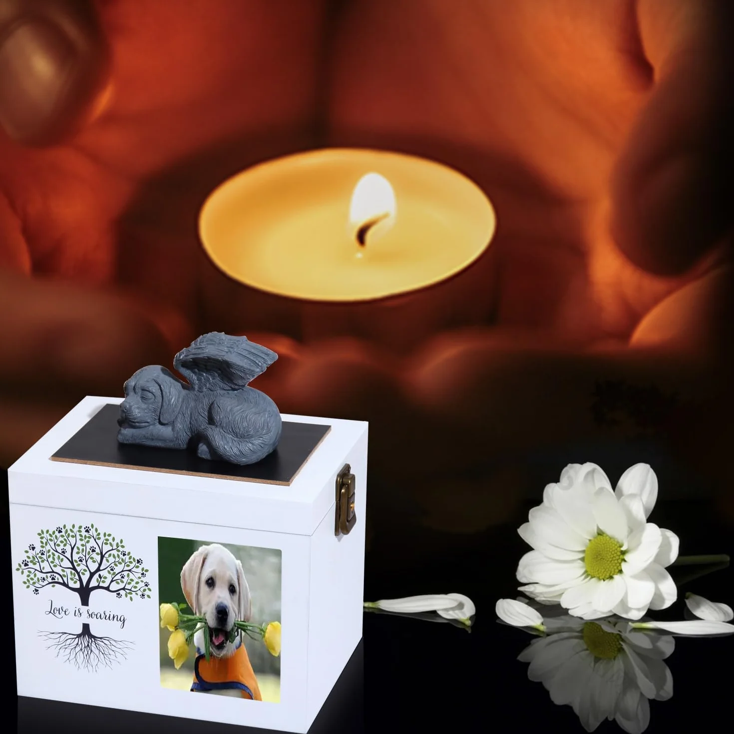 Urne Commemorative per Cani o Gatti, urna funebre in Legno con Cornice per Foto, Scatola commemorativa con Flanella Nera Come Fodera, Regalo commemorativo per Animali Domestici