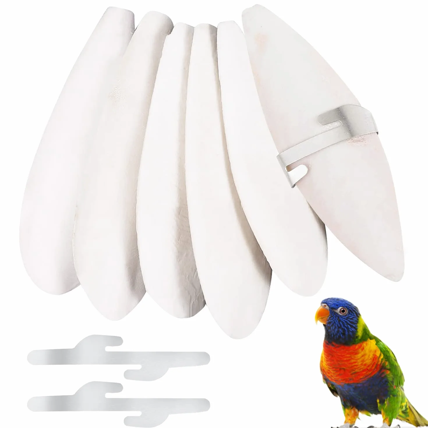 Osso di Seppia con Supporto 6 Pezzi 11-13cm per Uccelli