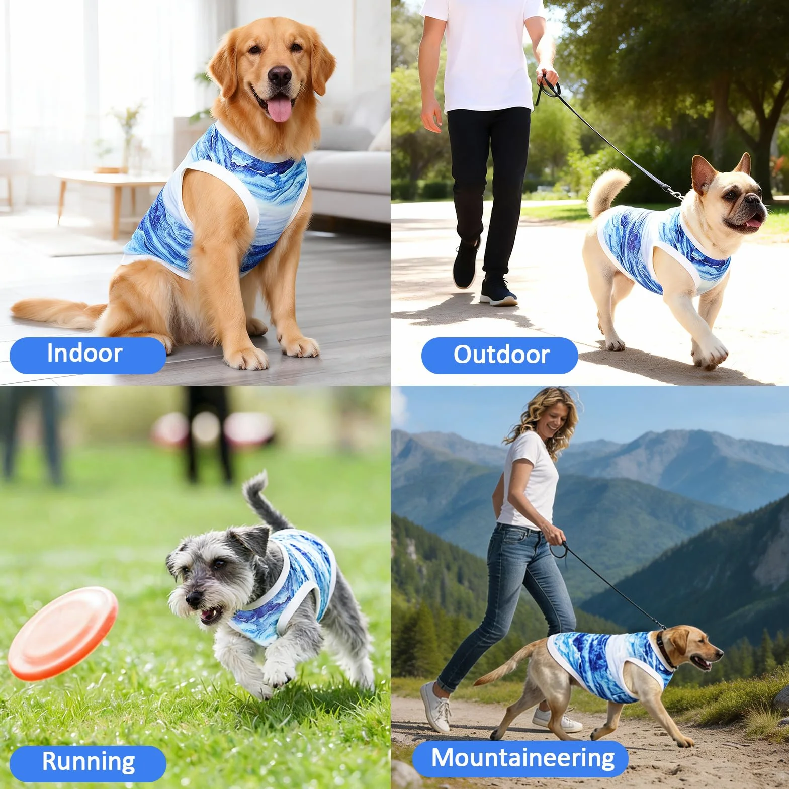 Gilet Rinfrescante per Cani Traspirante Leggero Taglia Media Piccola