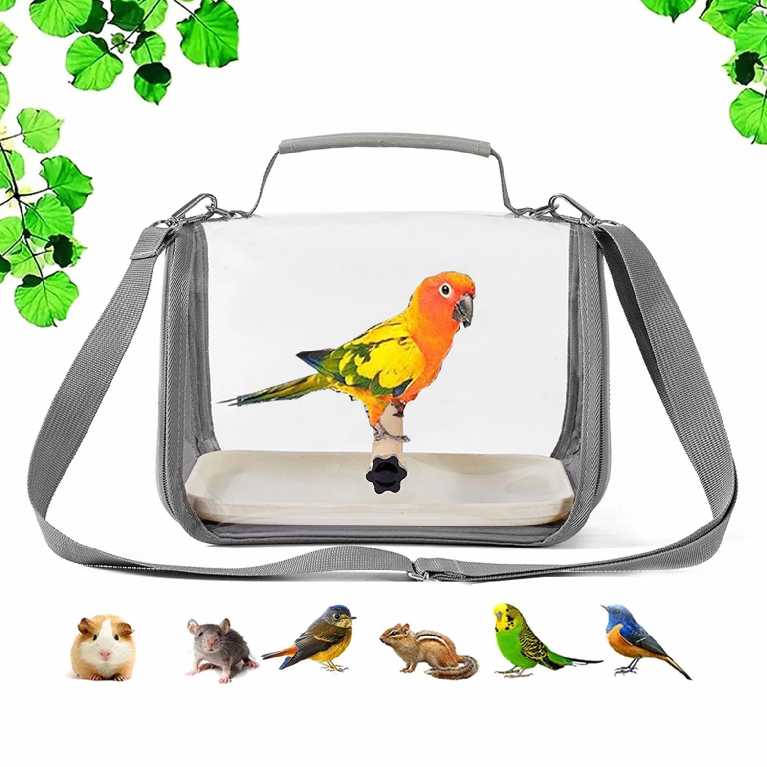 Borsa da trasporto per pappagalli, trasportino per parrocchetti con posatoio, calopsitta, piccola gabbia per il trasporto di animali domestici, parrocchetti, piccioncini, calopsitte