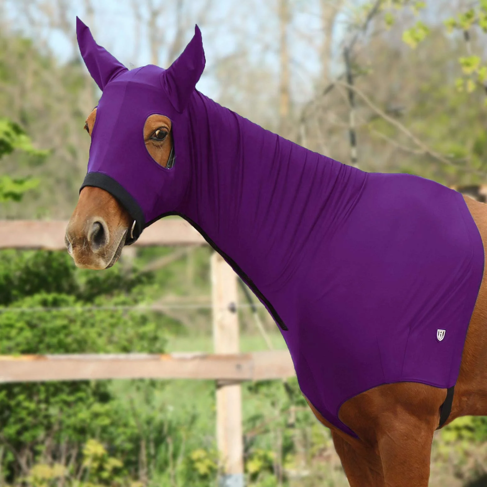 Harrison Howard Cappottino da cavallo elasticizzato con cerniera, viola, taglia M