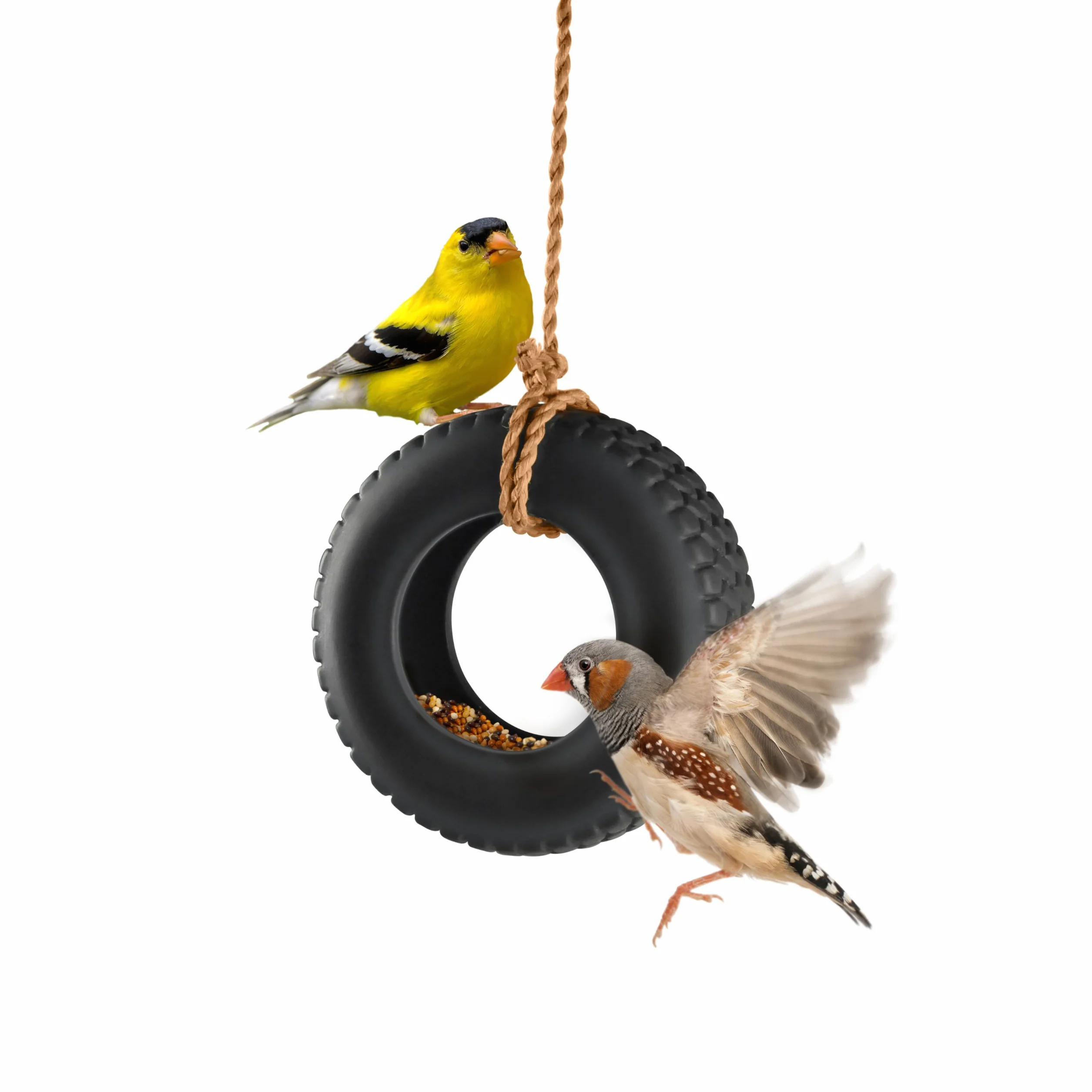 Fred Swing Time Mangiatoia per Uccellini Silicone Nero 4.5x15x35.5 cm