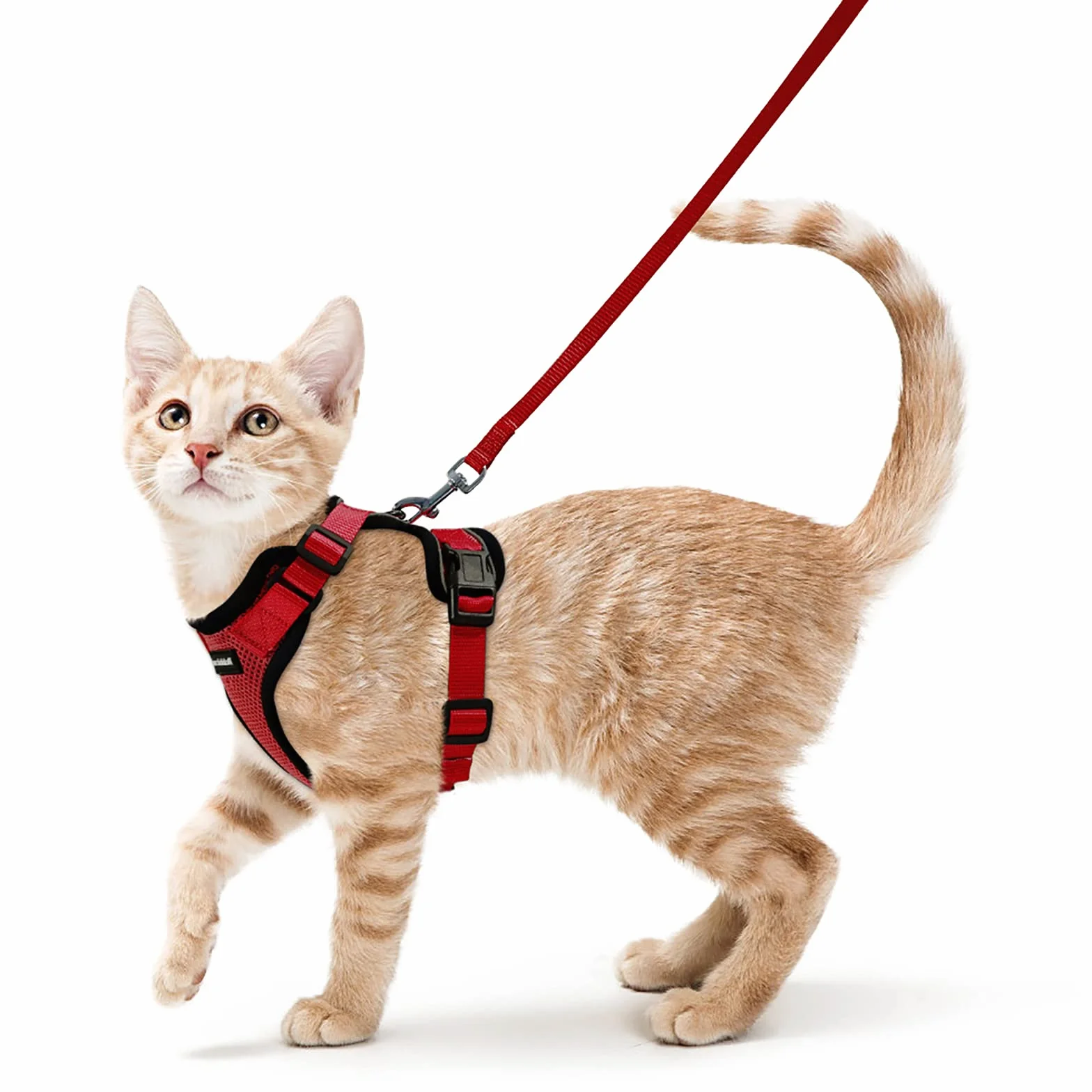 rabbitgoo Pettorina Gatto Antifuga con Guinzaglio, Guinzaglio per Gatti Regolabile, Pettorina Cane Taglia Piccola Riflettente, Imbracatura Gatto Adulto in Maglia Traspirante per Passeggiate, Rosso, XS