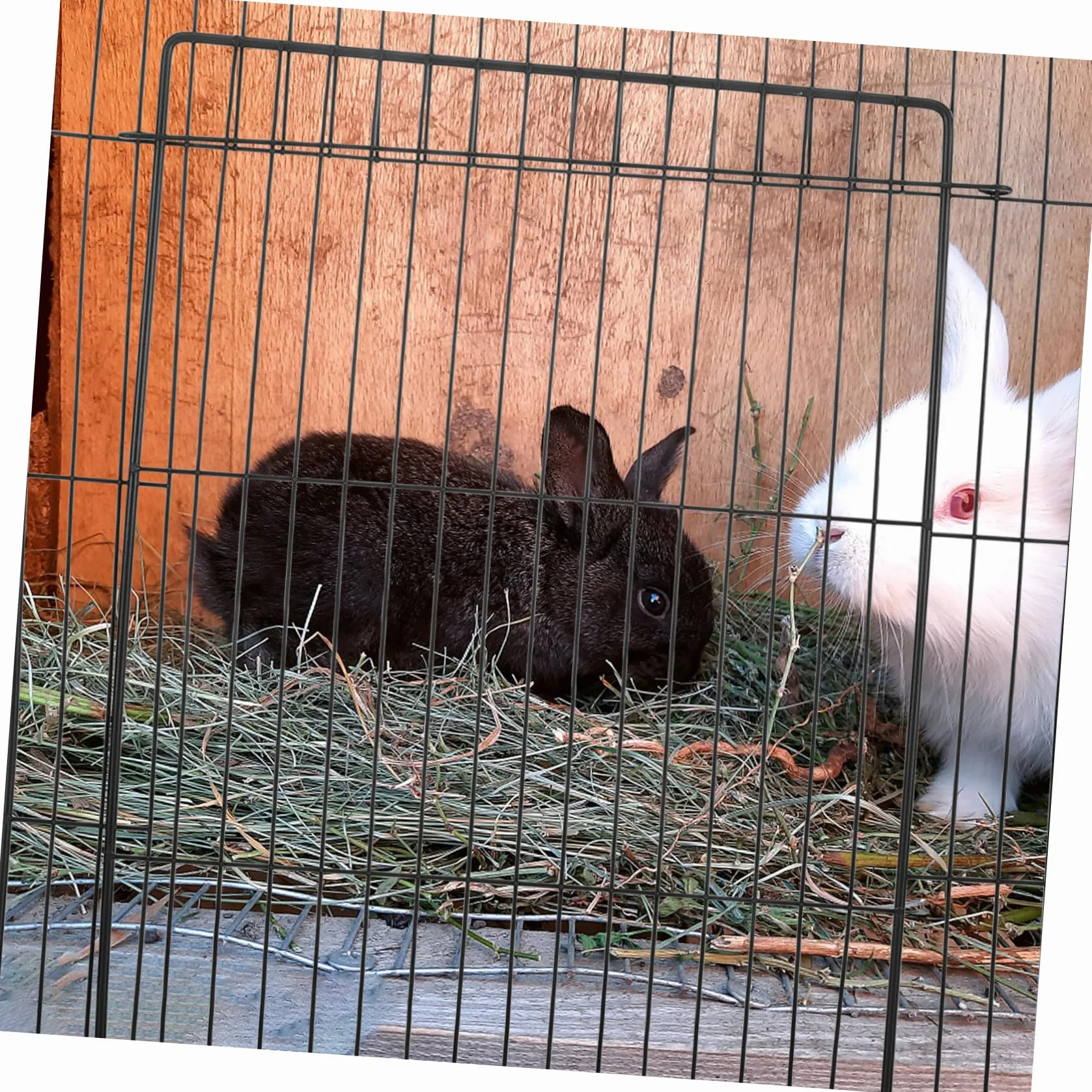 Rete per Con Apertura Accessorio Versatile per Gabbie e Recinti Sicurezza per Grandi Animali