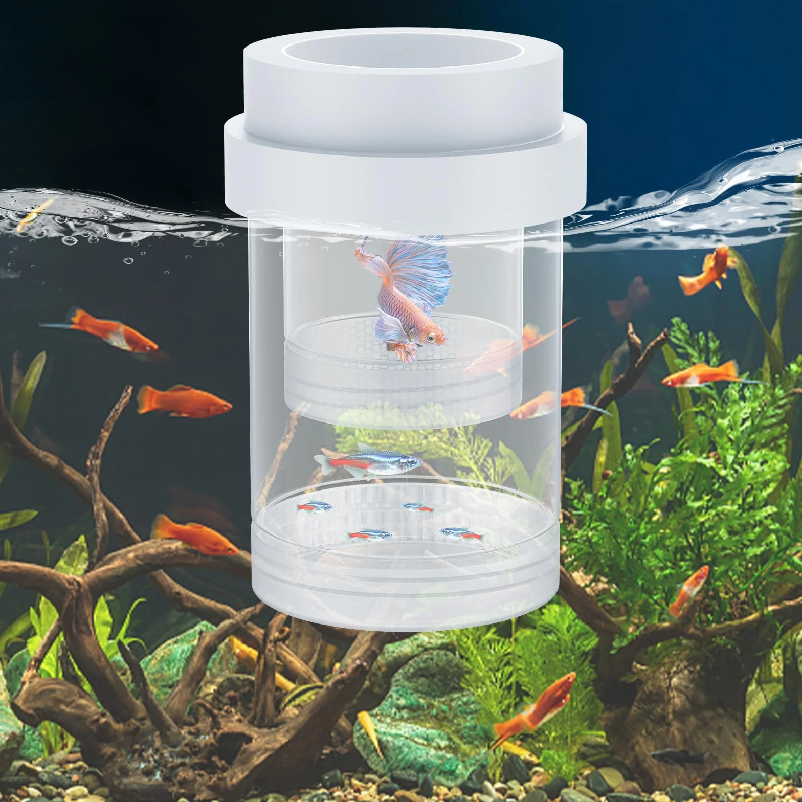 Pawfly Scatola per Riproduzione per Acquario, Box Galleggiante per Guppy, Separatore per Avannotti, Incubatrice in Plastica per Gamberetti, Betta e Pesce Pagliaccio, Medio