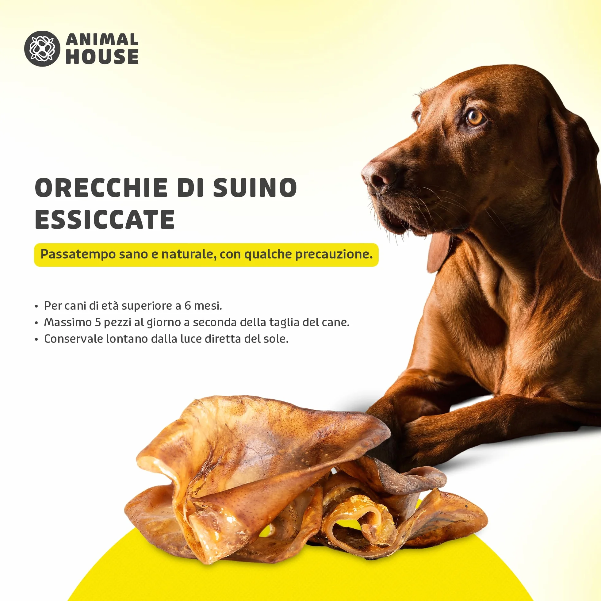 Animal House - Snack Naturale per Cani BARF alle Orecchie Suine, Delizia Proteica Europea per il Benessere del Tuo Amico a Quattro Zampe (500 GR, ORECCHIE SUINE)