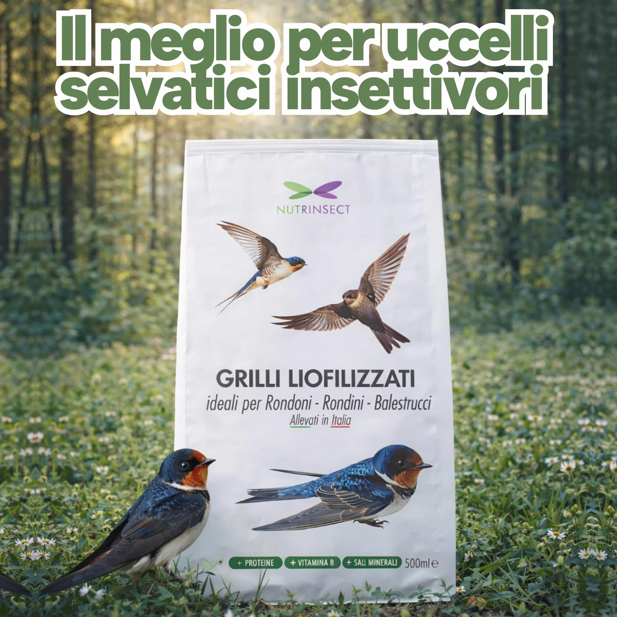 Grilli Liofilizzati 500ml Mangime Uccelli Selvatici Rondini Rondoni Balestrucci Insettivori
