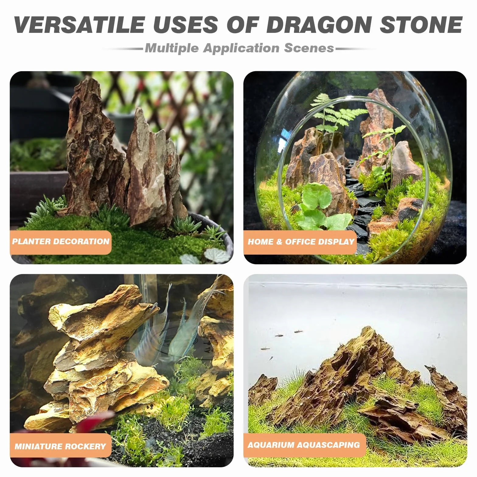 Unocho Rocce Naturali Dragon Stone Seiryu 9kg Pietre per Acquario Aquascaping Decorazione Paesaggio Modello Paludario Habitat per Anfibi(5-20cm)