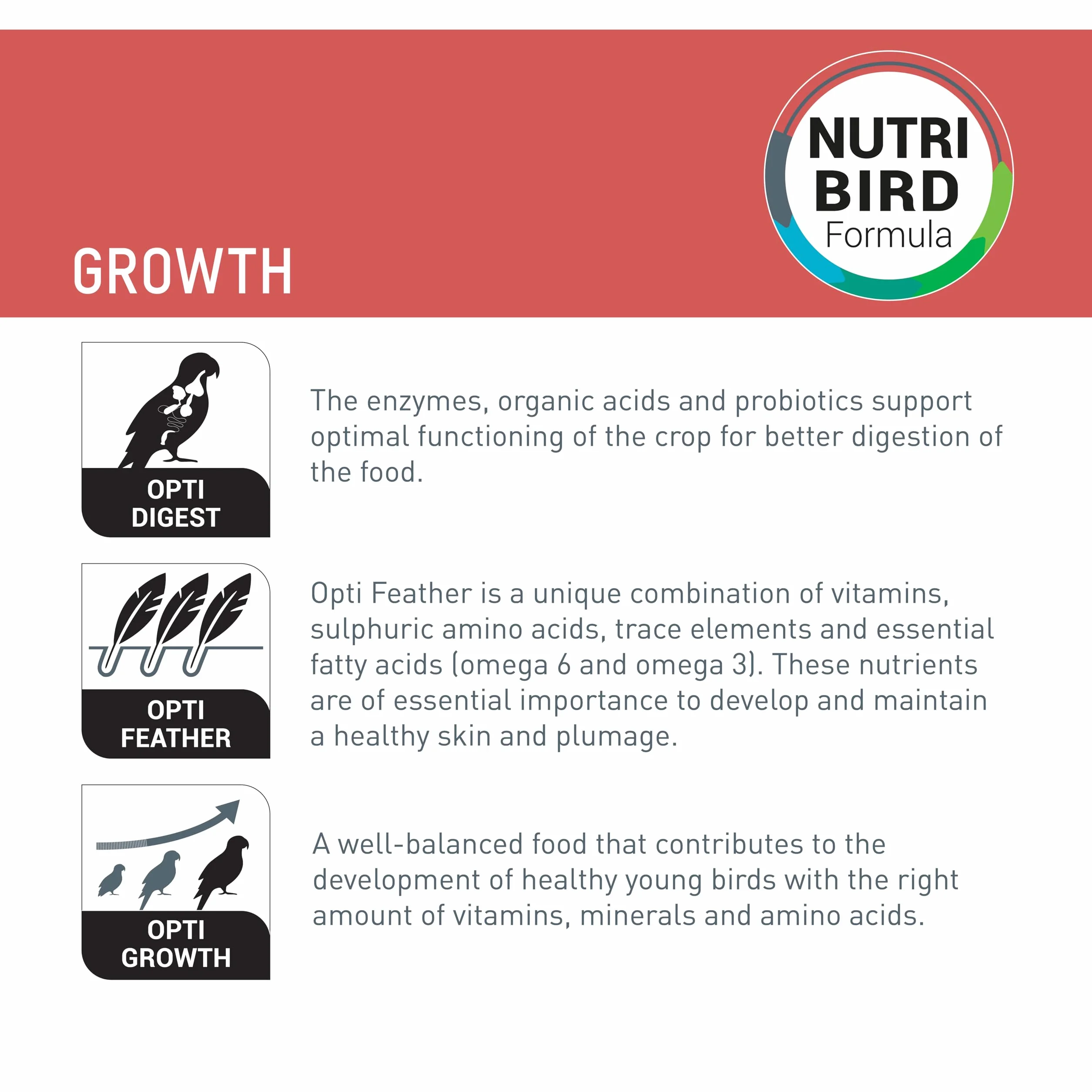 Versele-Laga NutriBird A21 Alimento manuale per uccelli 250 g