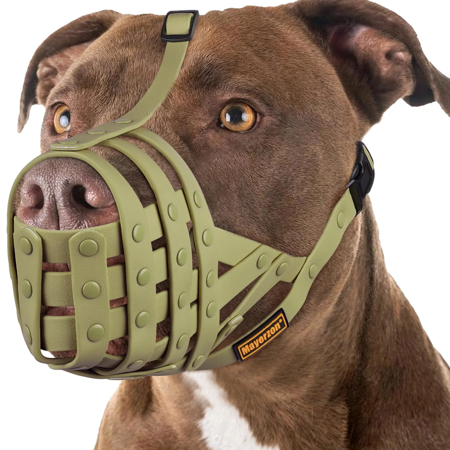 La museruola a cestello Mayerzon, leggera e robusta, è ideale per cani di taglia media e grande come Pitbull, Rottweiler e Staffordshire Terrier, in quanto previene morsi e permette di ansimare, bere