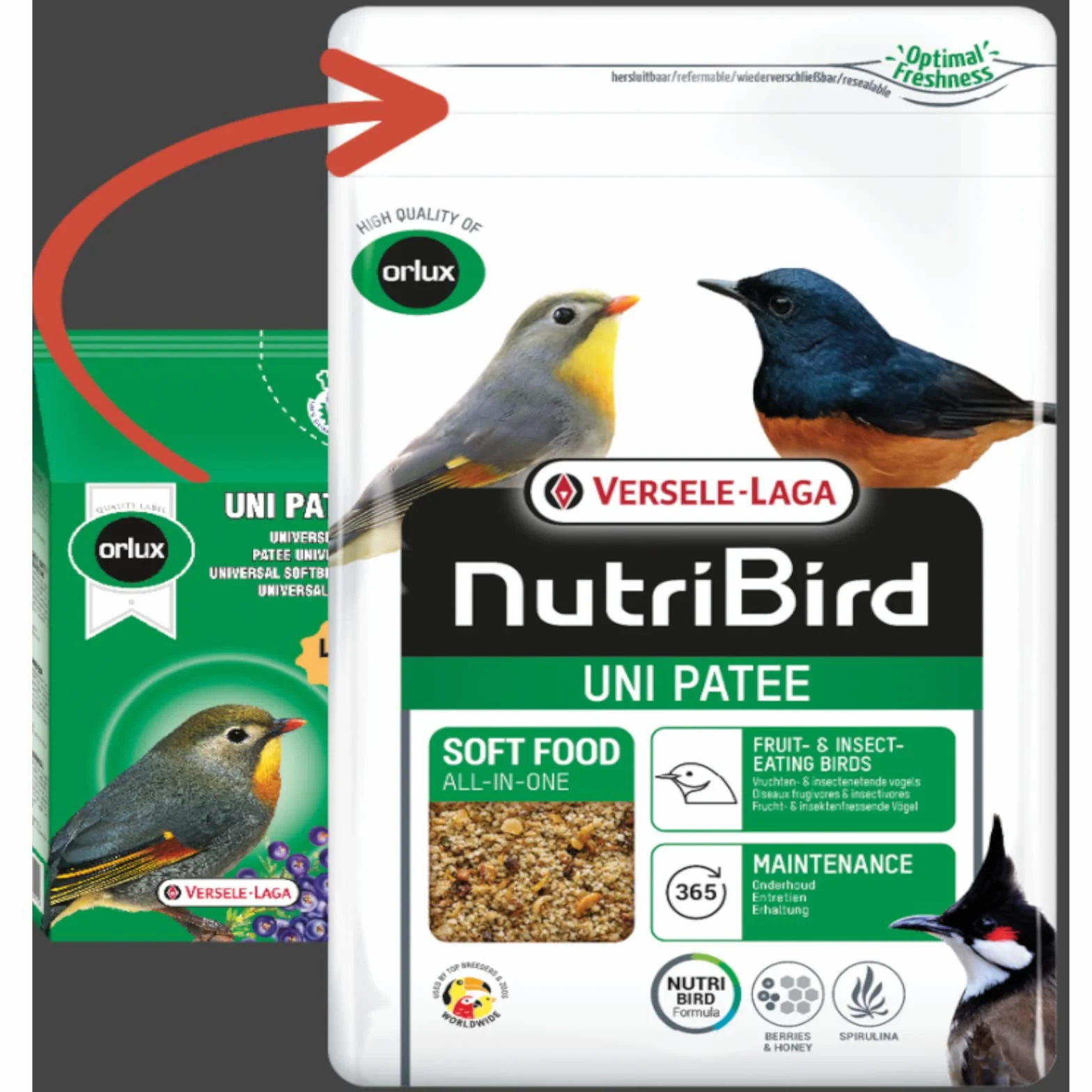 Orlux UNIPATE Insettivori 1 kg