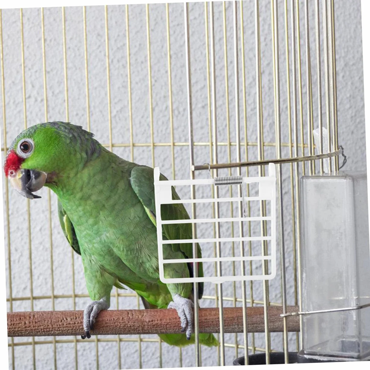 Accessori per Porta Uccelli in Sostituzione Facile con per Mangime Porta per con Design Resistente e Manutenzione Semplificata per Pappagalli e Uccelli Domestici