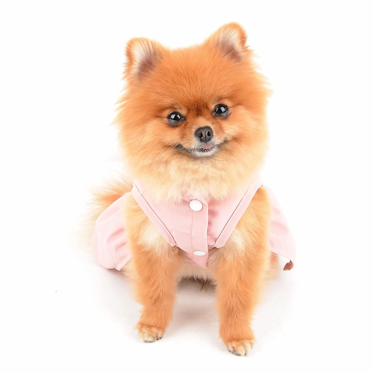 Angel Wing vestito per cani con anello a D, gonna per cuccioli, abbigliamento estate, rosa, L