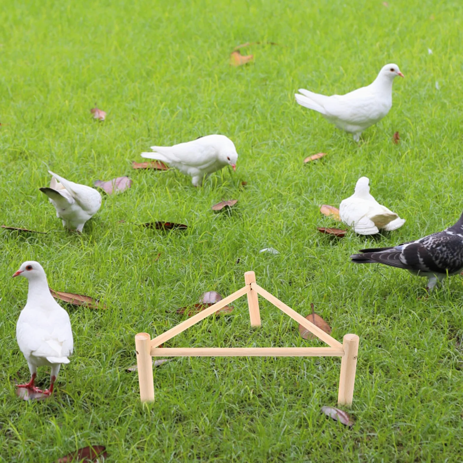 Hemobllo Posatoio in Legno per Galline e Uccelli Beige, Supporto Rialzato Multifunzione Pollaio, come Giocattolo e Riposo per Animali Domestici