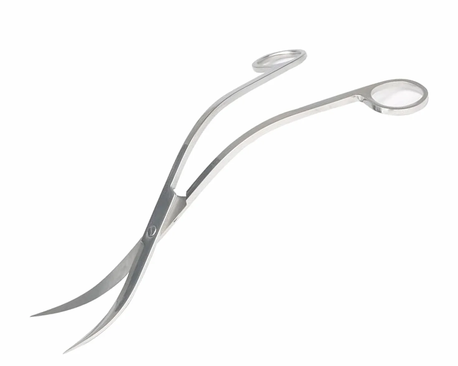 Forbici curve in acciaio inox 25 cm per acquario piante acquatiche