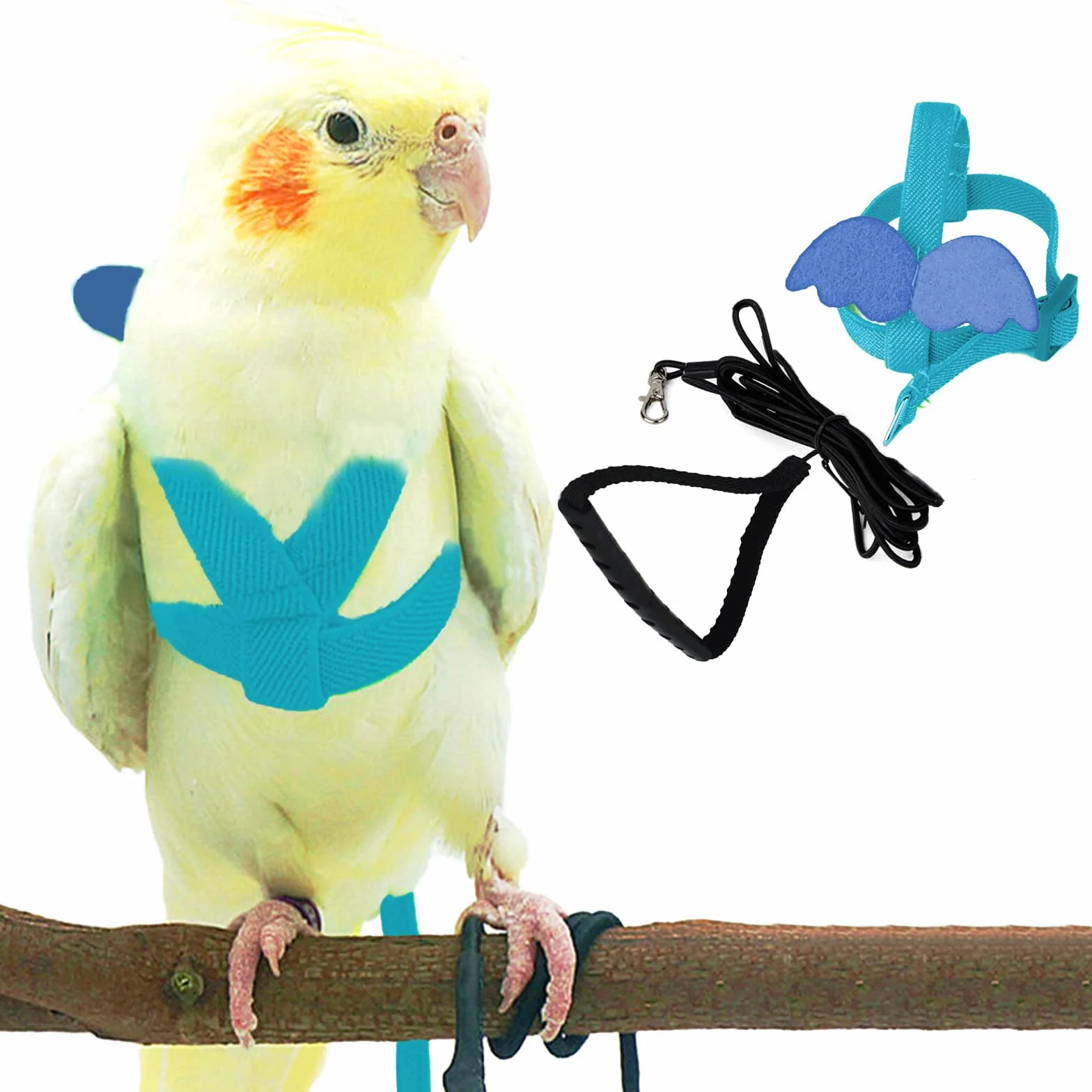 Pet Parrot Bird Pettorina e guinzaglio per cani - Design di addestramento regolabile - Anti-morso - Corda in nylon con adorabile ala per pappagalli - Adatto per Alexandrine, Scarlet, Keck